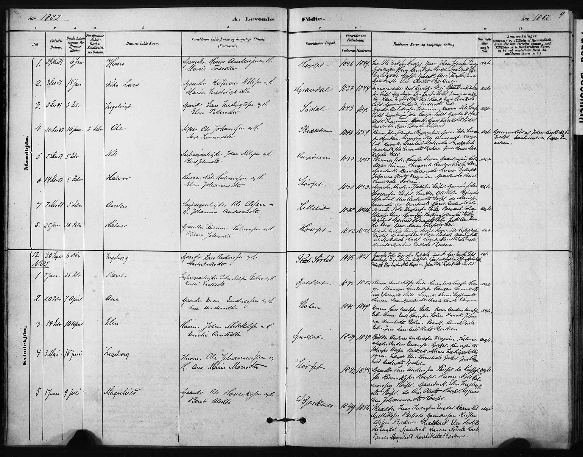 Ministerialprotokoller, klokkerbøker og fødselsregistre - Sør-Trøndelag, SAT/A-1456/631/L0512: Parish register (official) no. 631A01, 1879-1912, p. 9