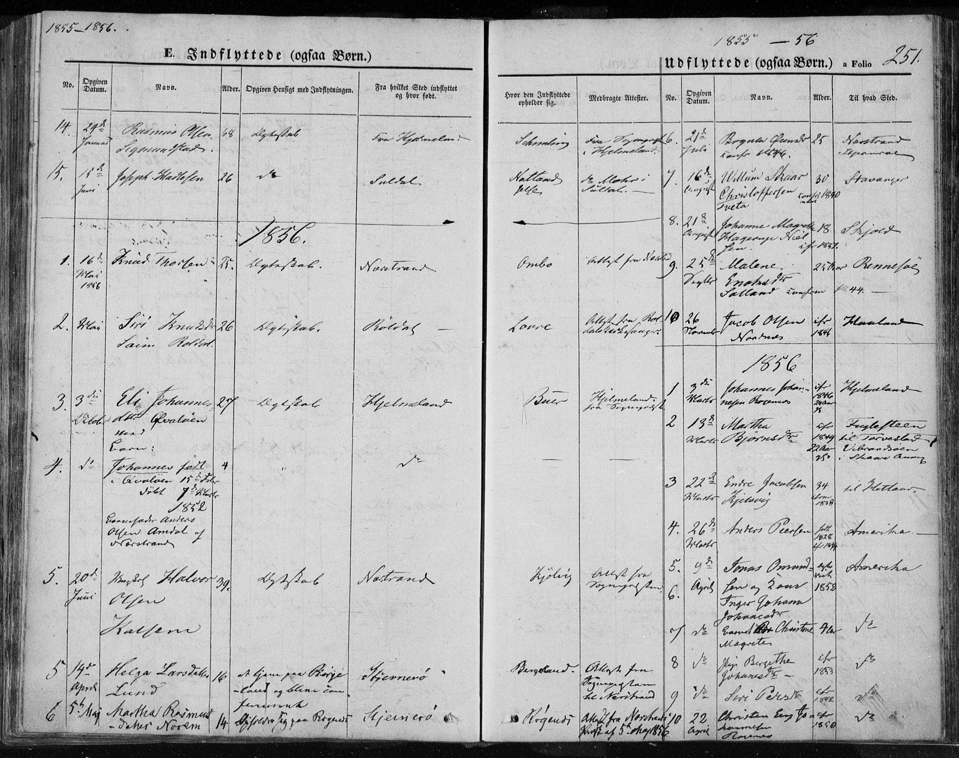 Jelsa sokneprestkontor, SAST/A-101842/01/IV: Parish register (official) no. A 7, 1854-1866, p. 251