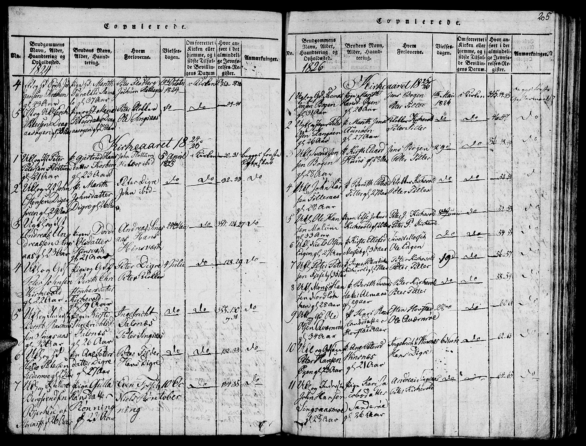 Ministerialprotokoller, klokkerbøker og fødselsregistre - Sør-Trøndelag, SAT/A-1456/685/L0955: Parish register (official) no. 685A03 /2, 1817-1829, p. 205
