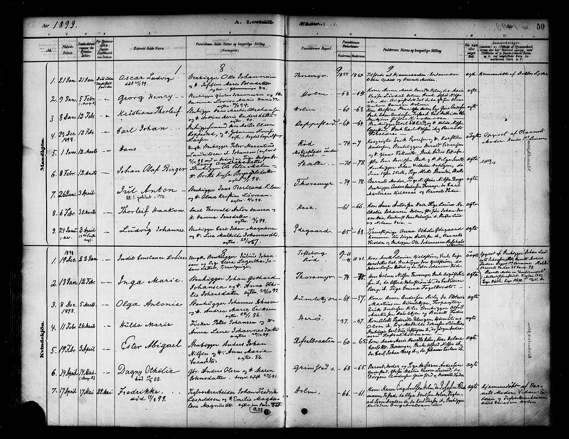 Borge prestekontor Kirkebøker, SAO/A-10903/F/Fb/L0003: Parish register (official) no. II 3, 1878-1902, p. 59