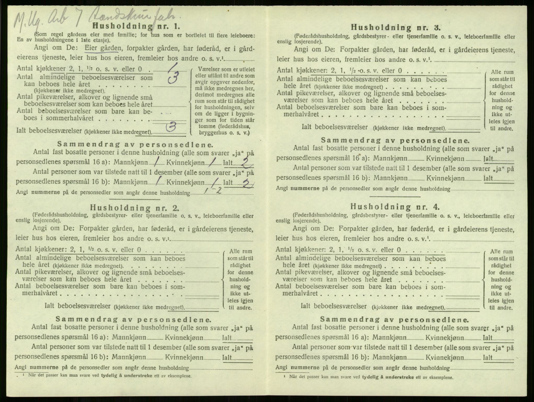 SAKO, 1920 census for Stokke, 1920, p. 246