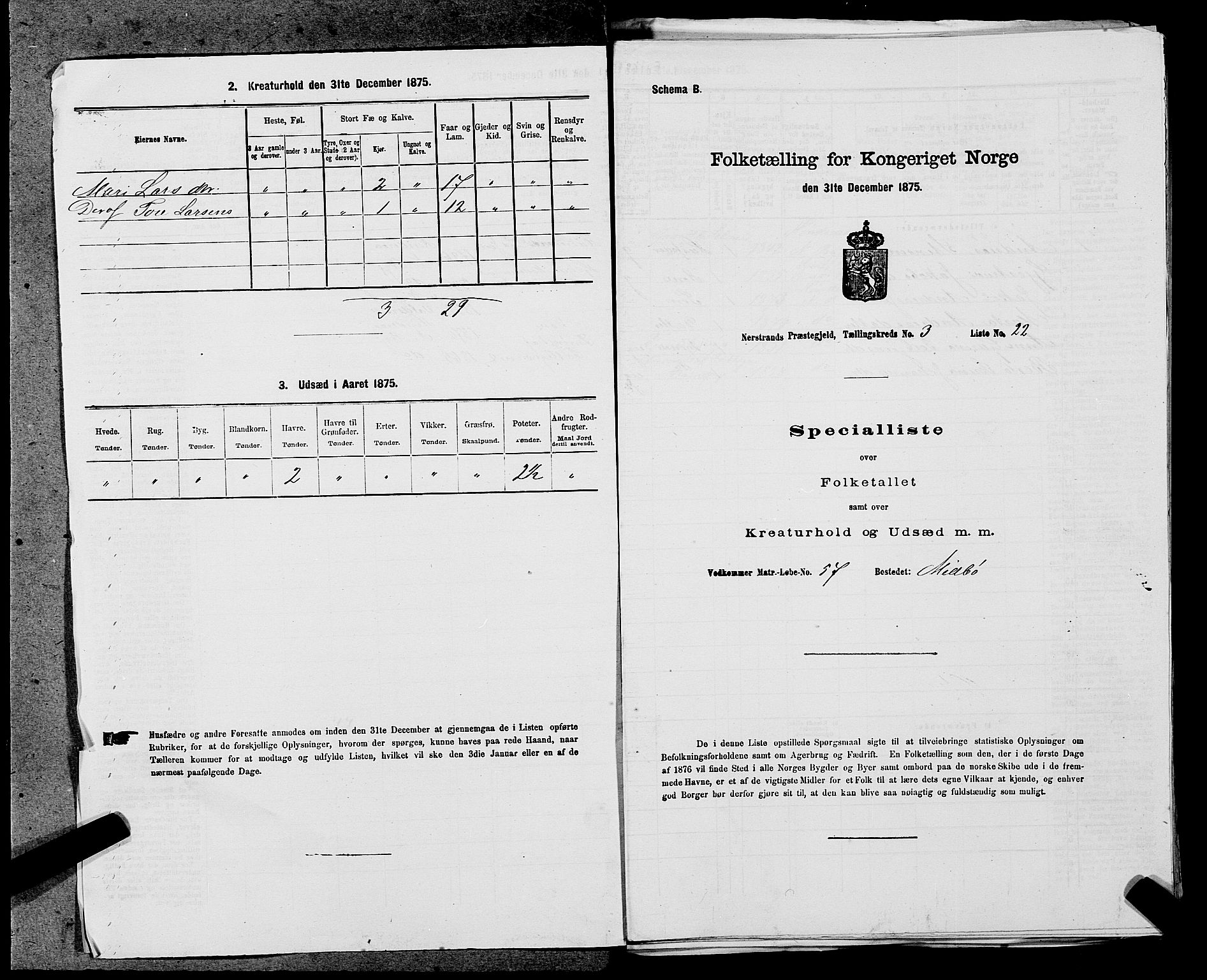 SAST, 1875 census for 1139P Nedstrand, 1875, p. 487