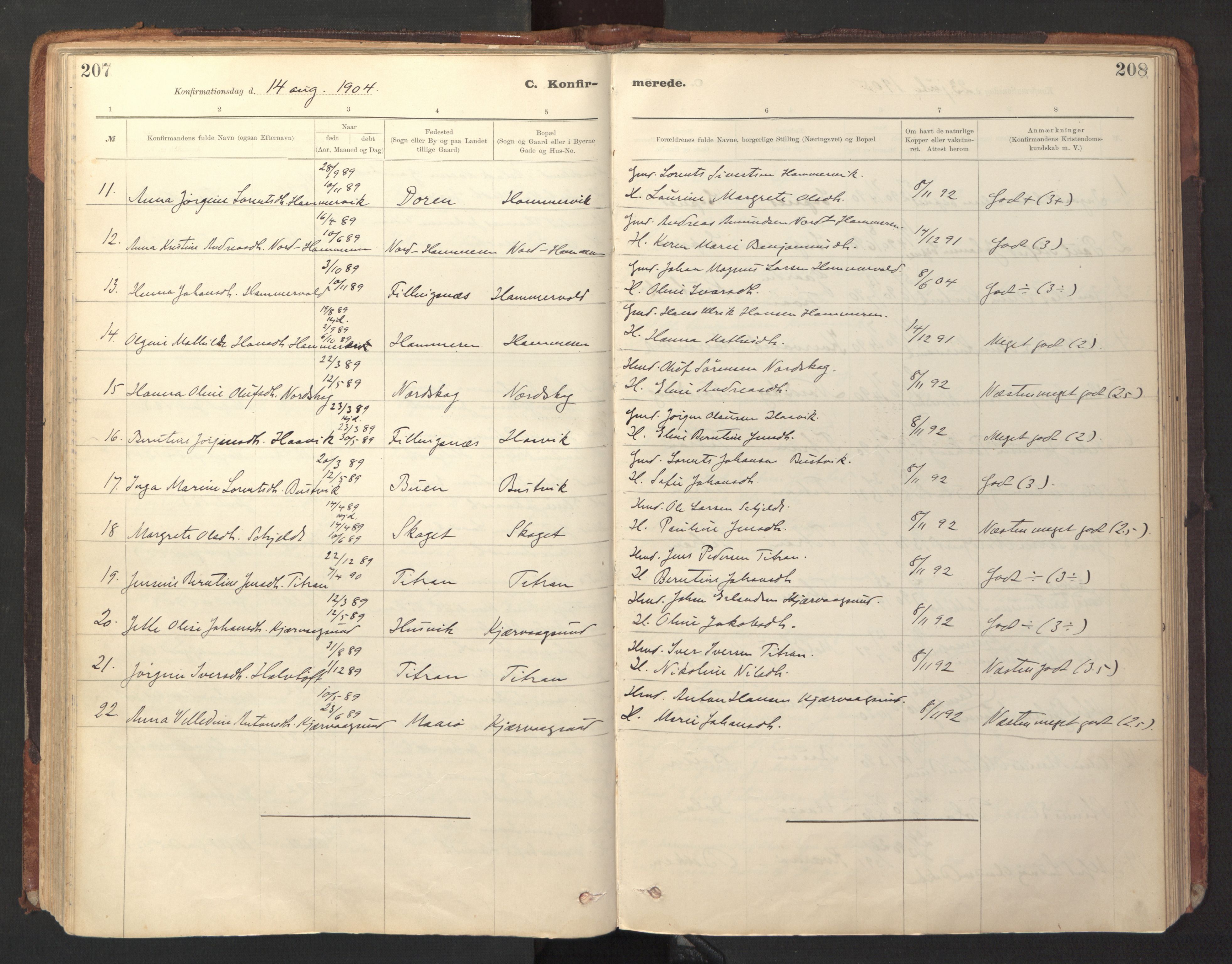 Ministerialprotokoller, klokkerbøker og fødselsregistre - Sør-Trøndelag, SAT/A-1456/641/L0596: Parish register (official) no. 641A02, 1898-1915, p. 207-208