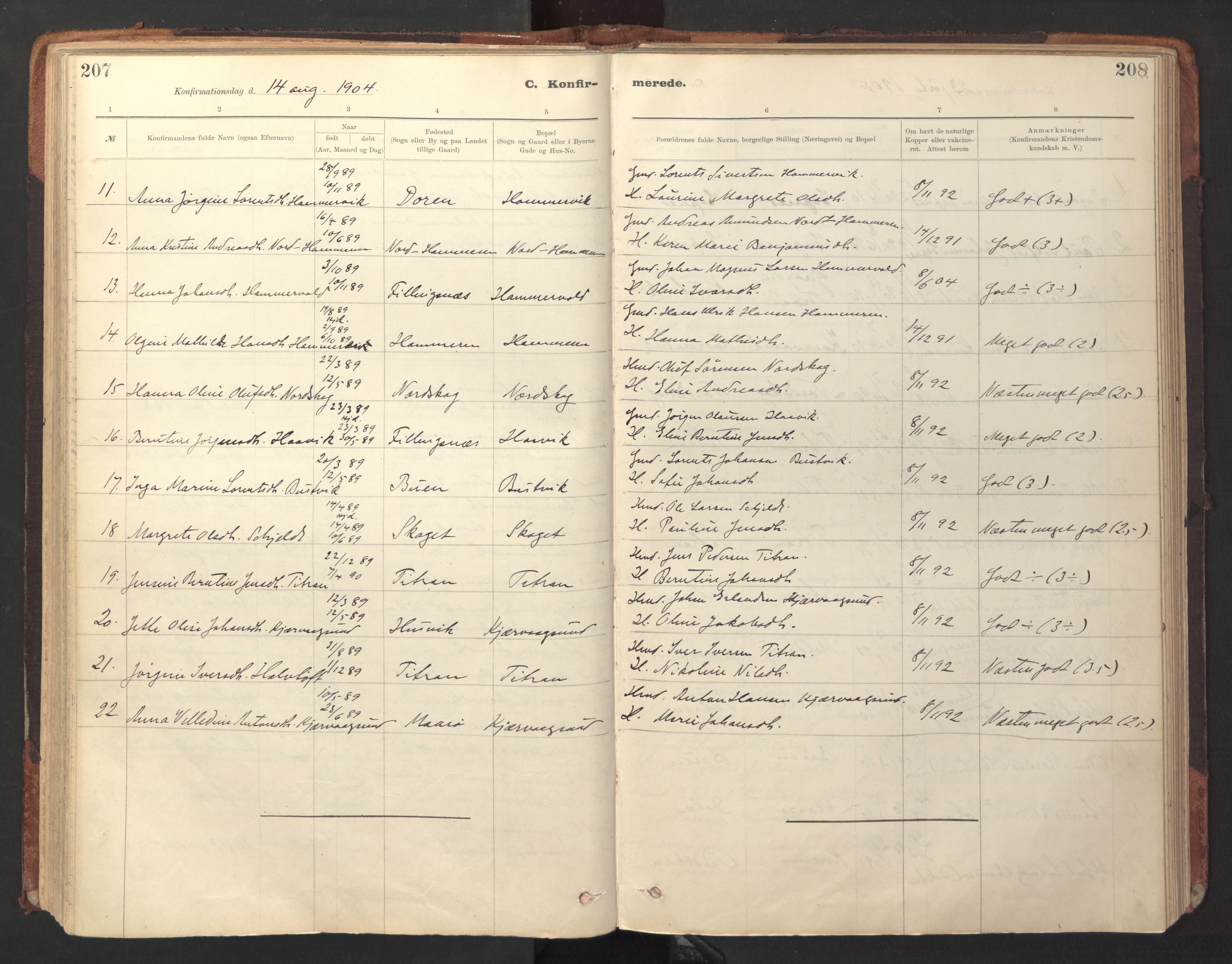 Ministerialprotokoller, klokkerbøker og fødselsregistre - Sør-Trøndelag, AV/SAT-A-1456/641/L0596: Parish register (official) no. 641A02, 1898-1915, p. 207-208