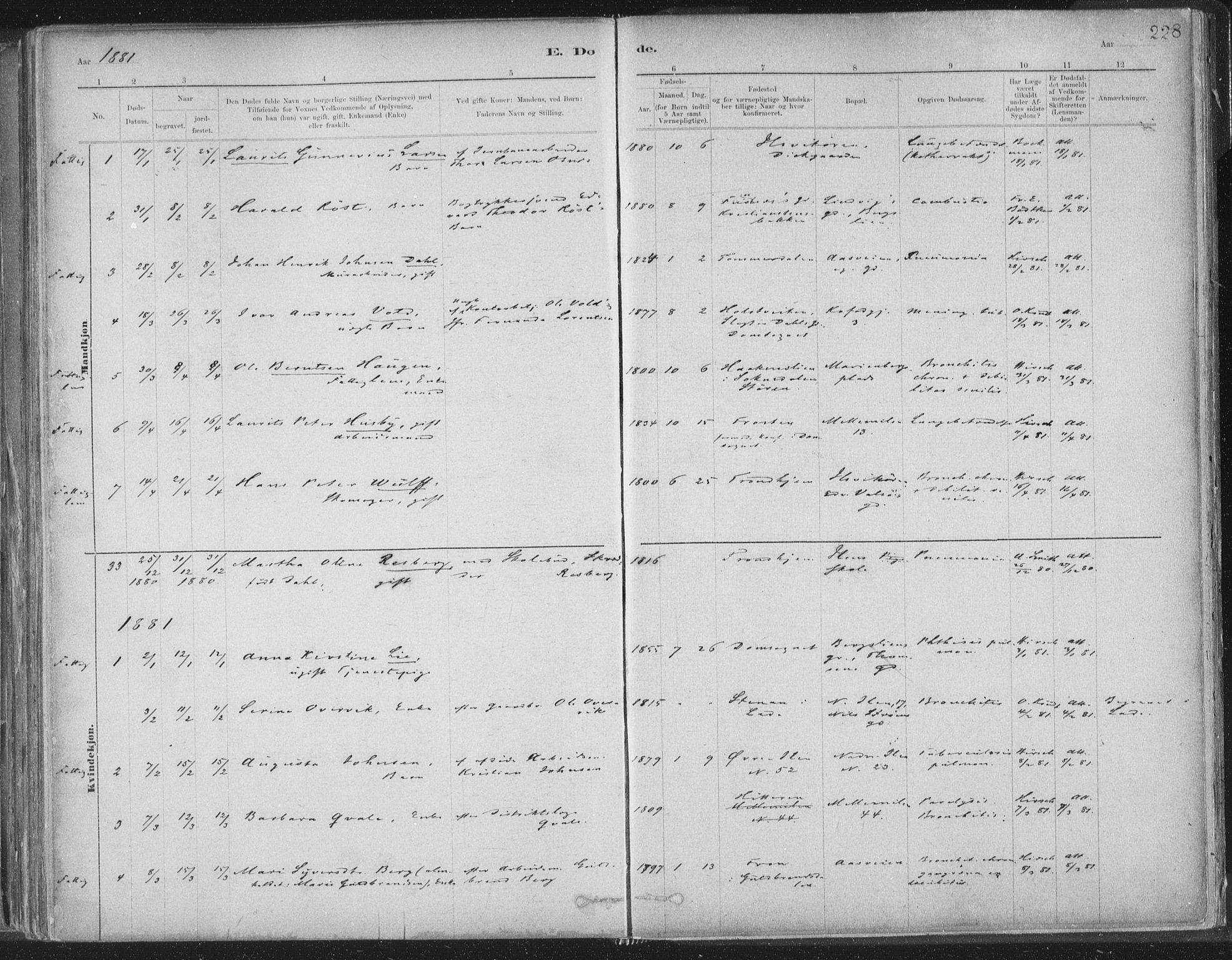 Ministerialprotokoller, klokkerbøker og fødselsregistre - Sør-Trøndelag, SAT/A-1456/603/L0162: Parish register (official) no. 603A01, 1879-1895, p. 228