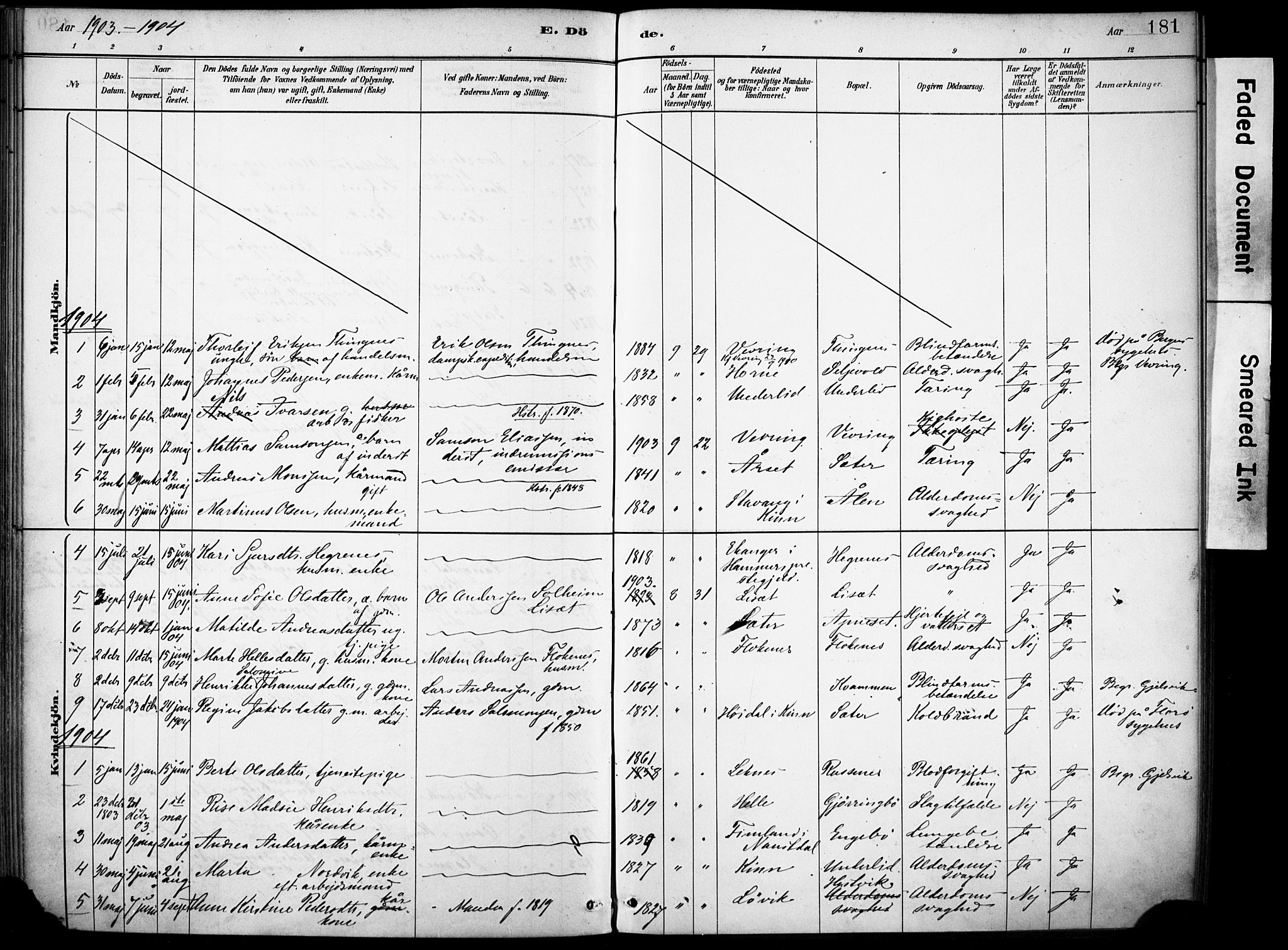 Førde sokneprestembete, SAB/A-79901/H/Haa/Haae/L0001: Parish register (official) no. E 1, 1881-1911, p. 181