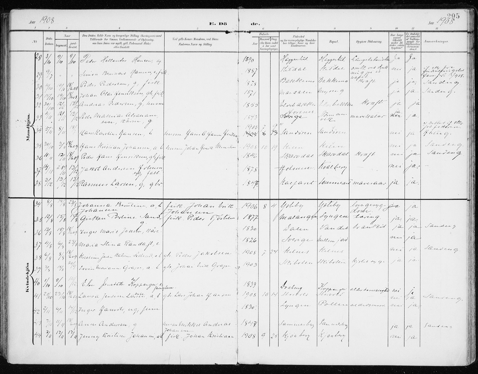 Lyngen sokneprestembete, AV/SATØ-S-1289/H/He/Hea/L0011kirke: Parish register (official) no. 11, 1903-1913, p. 295