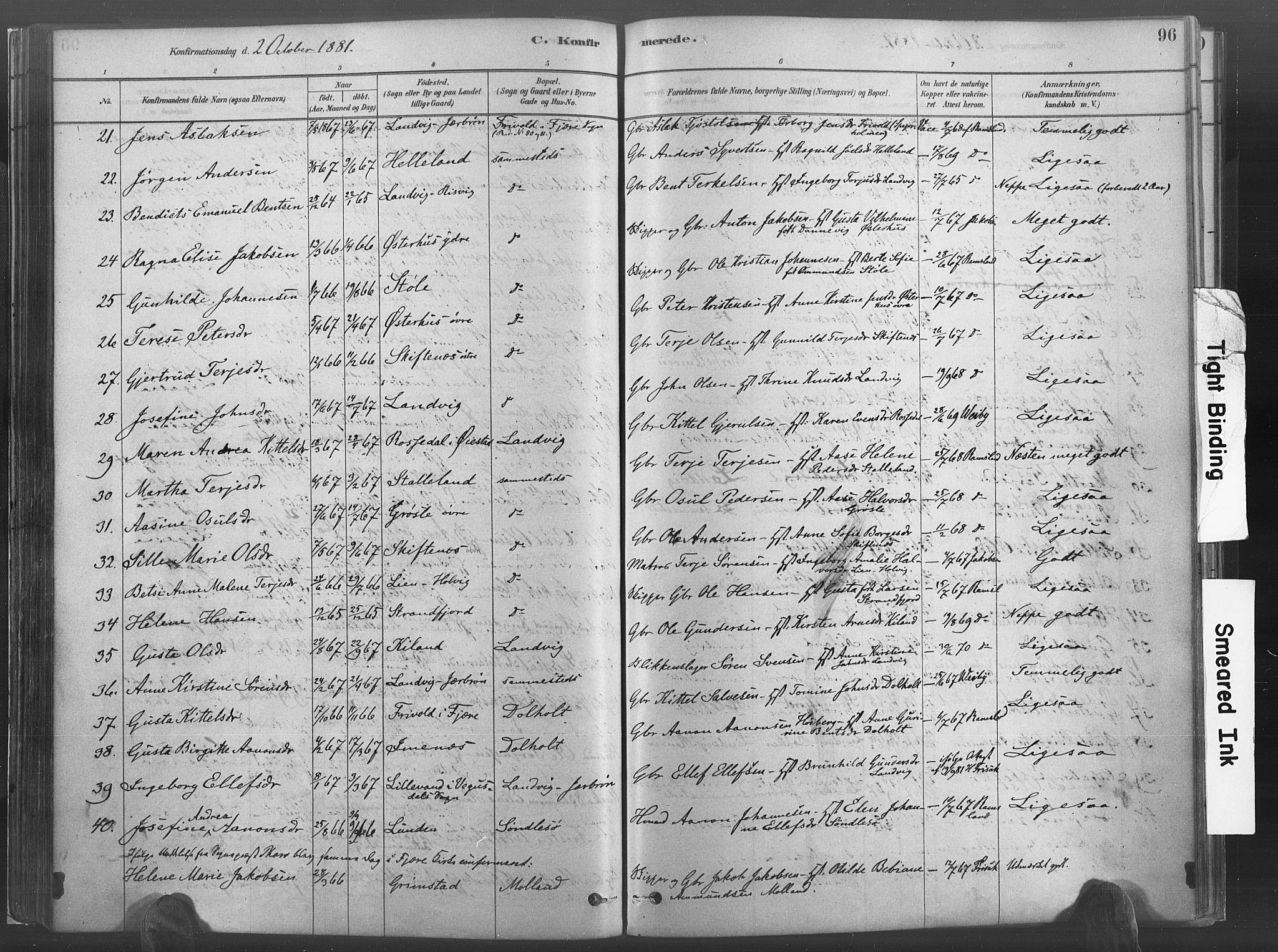 Hommedal sokneprestkontor, AV/SAK-1111-0023/F/Fa/Fab/L0006: Parish register (official) no. A 6, 1878-1897, p. 96