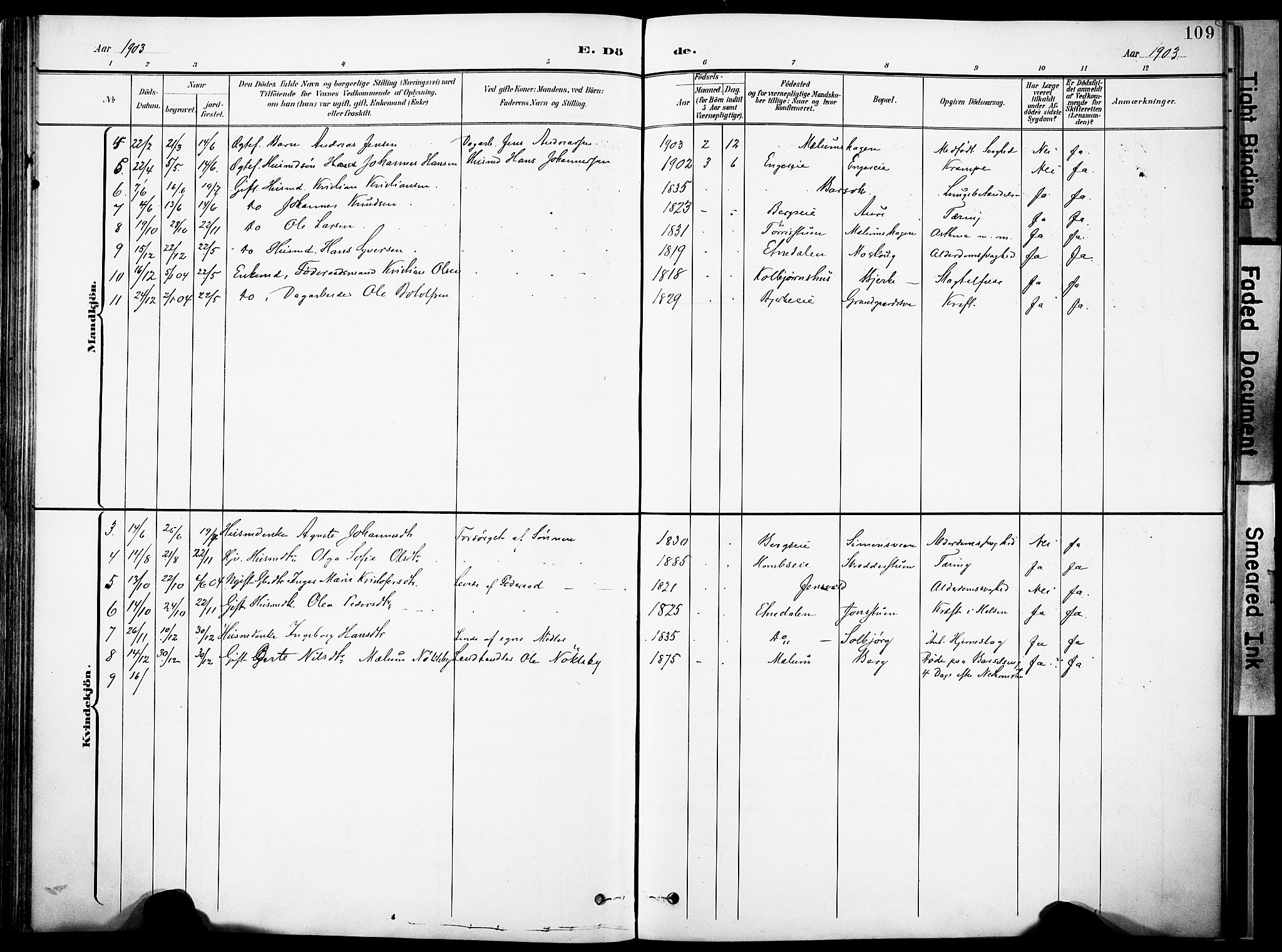Nordre Land prestekontor, SAH/PREST-124/H/Ha/Haa/L0006: Parish register (official) no. 6, 1897-1914, p. 109