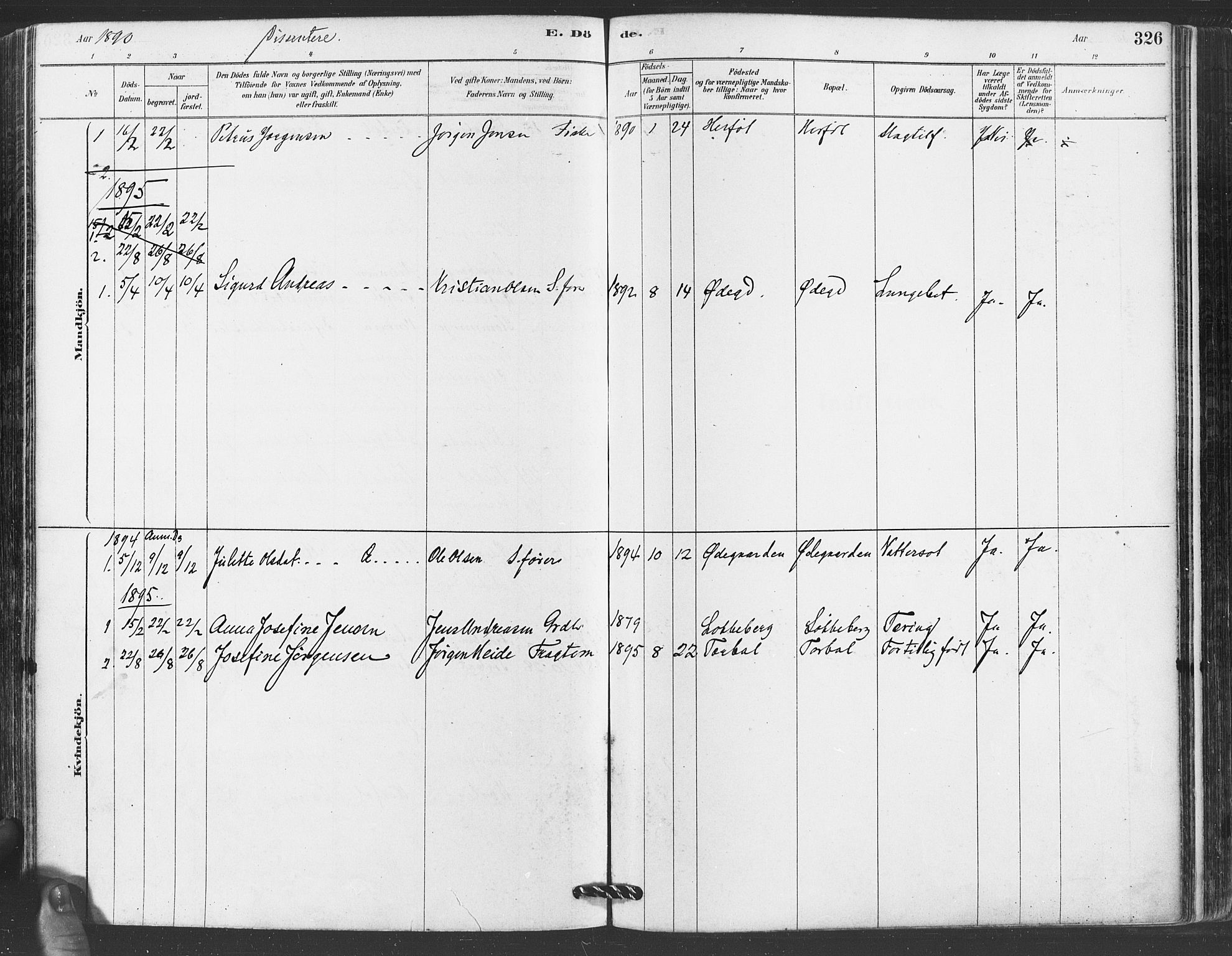 Hvaler prestekontor Kirkebøker, SAO/A-2001/F/Fa/L0008: Parish register (official) no. I 8, 1878-1895, p. 326
