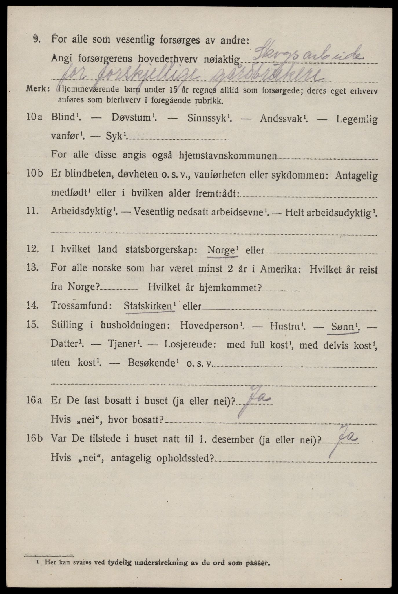 SAKO, 1920 census for Nissedal, 1920, p. 3028