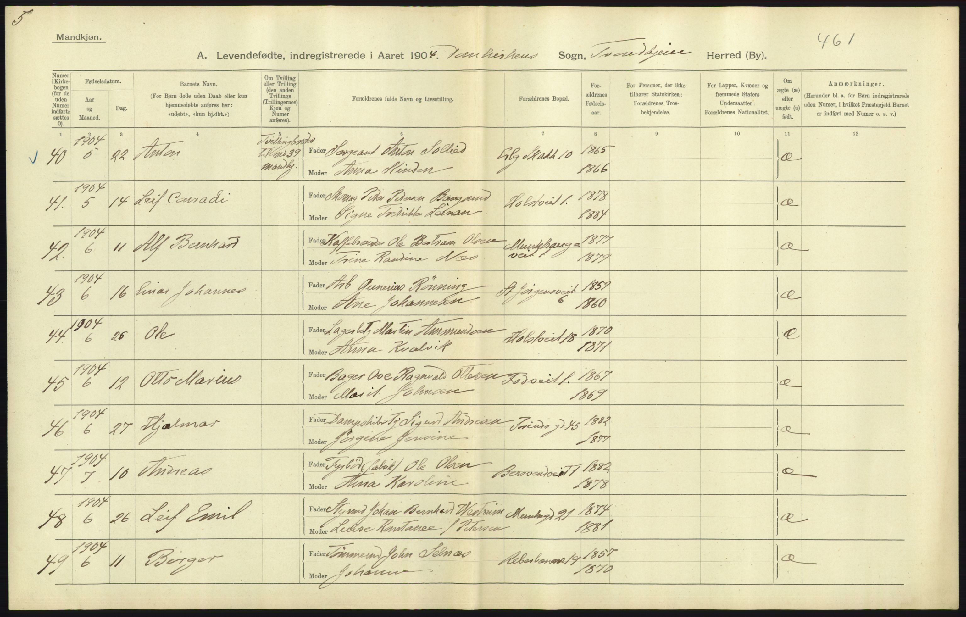 Statistisk sentralbyrå, Sosiodemografiske emner, Befolkning, AV/RA-S-2228/D/Df/Dfa/Dfab/L0018: Trondhjem: Fødte, gifte, døde., 1904, p. 189