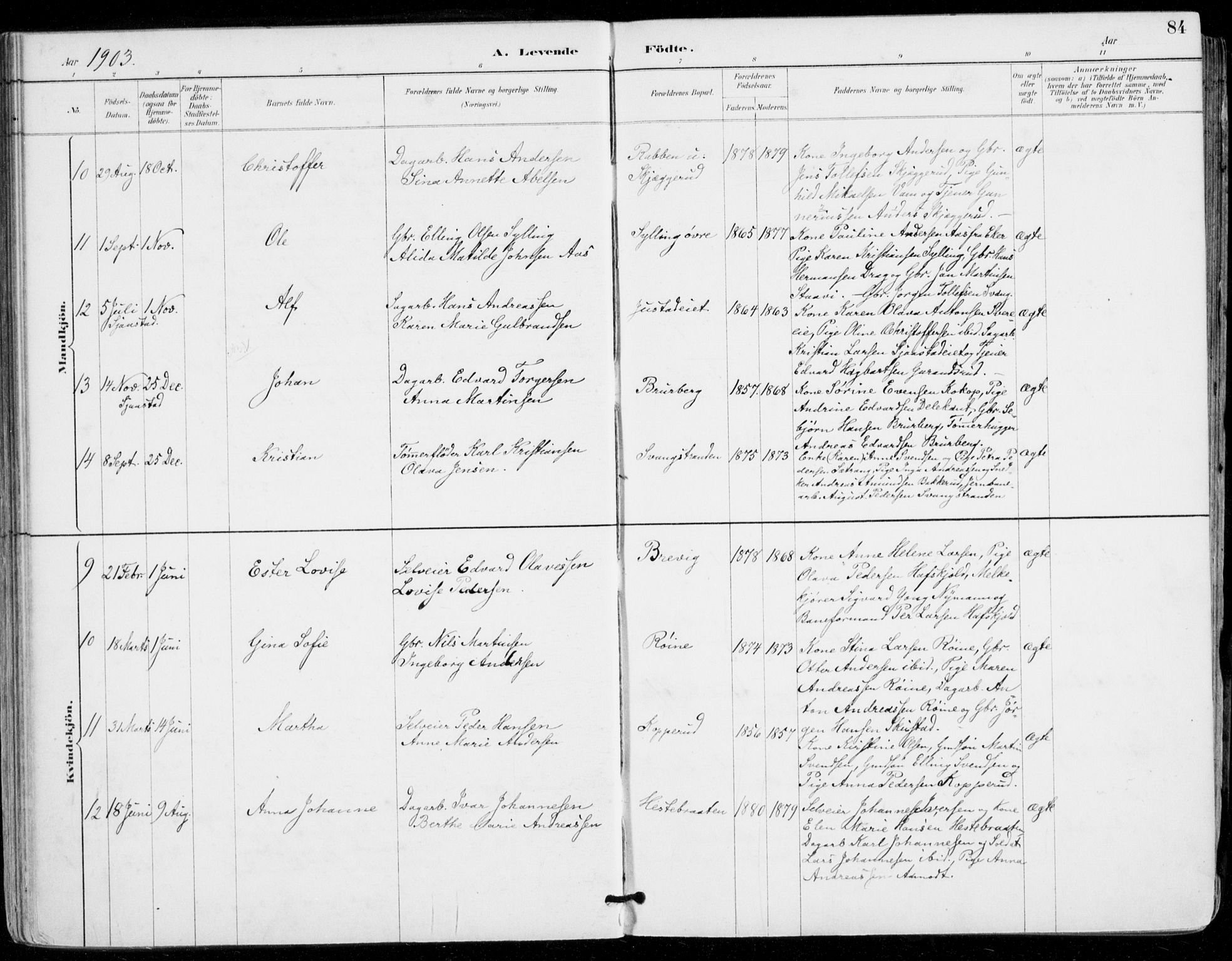 Sylling kirkebøker, AV/SAKO-A-247/F/Fa/L0001: Parish register (official) no. 1, 1883-1910, p. 84