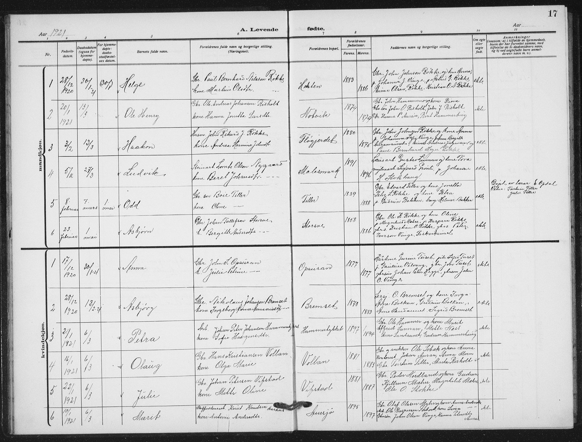 Ministerialprotokoller, klokkerbøker og fødselsregistre - Nord-Trøndelag, SAT/A-1458/712/L0104: Parish register (copy) no. 712C02, 1917-1939, p. 17