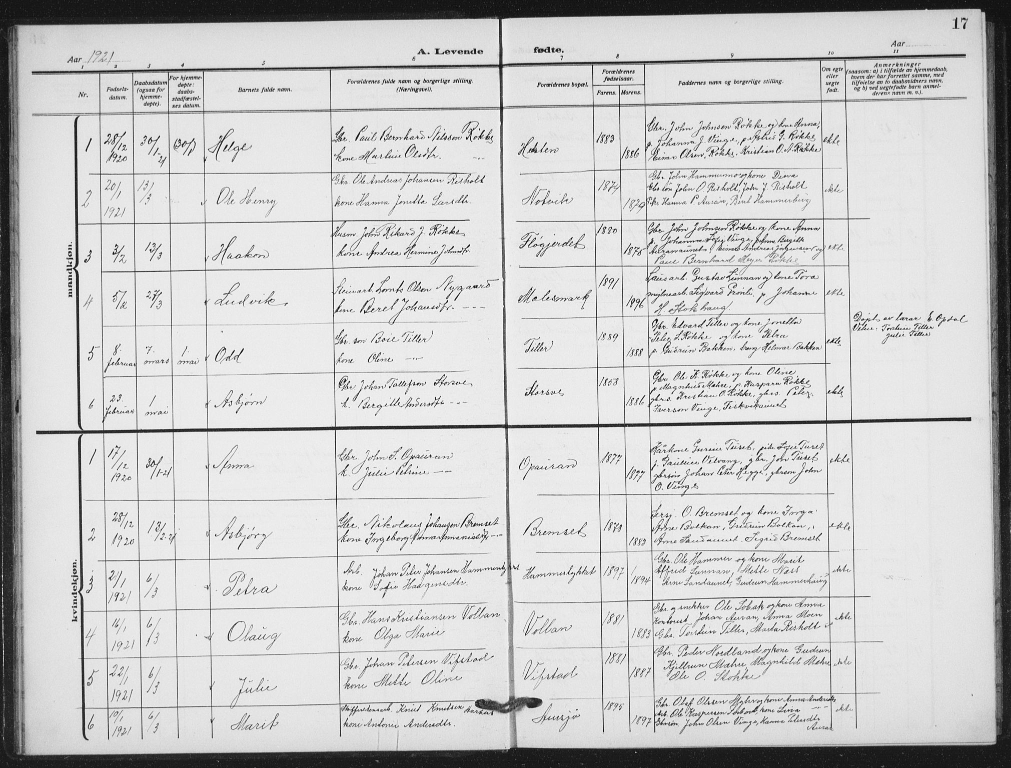 Ministerialprotokoller, klokkerbøker og fødselsregistre - Nord-Trøndelag, AV/SAT-A-1458/712/L0104: Parish register (copy) no. 712C02, 1917-1939, p. 17