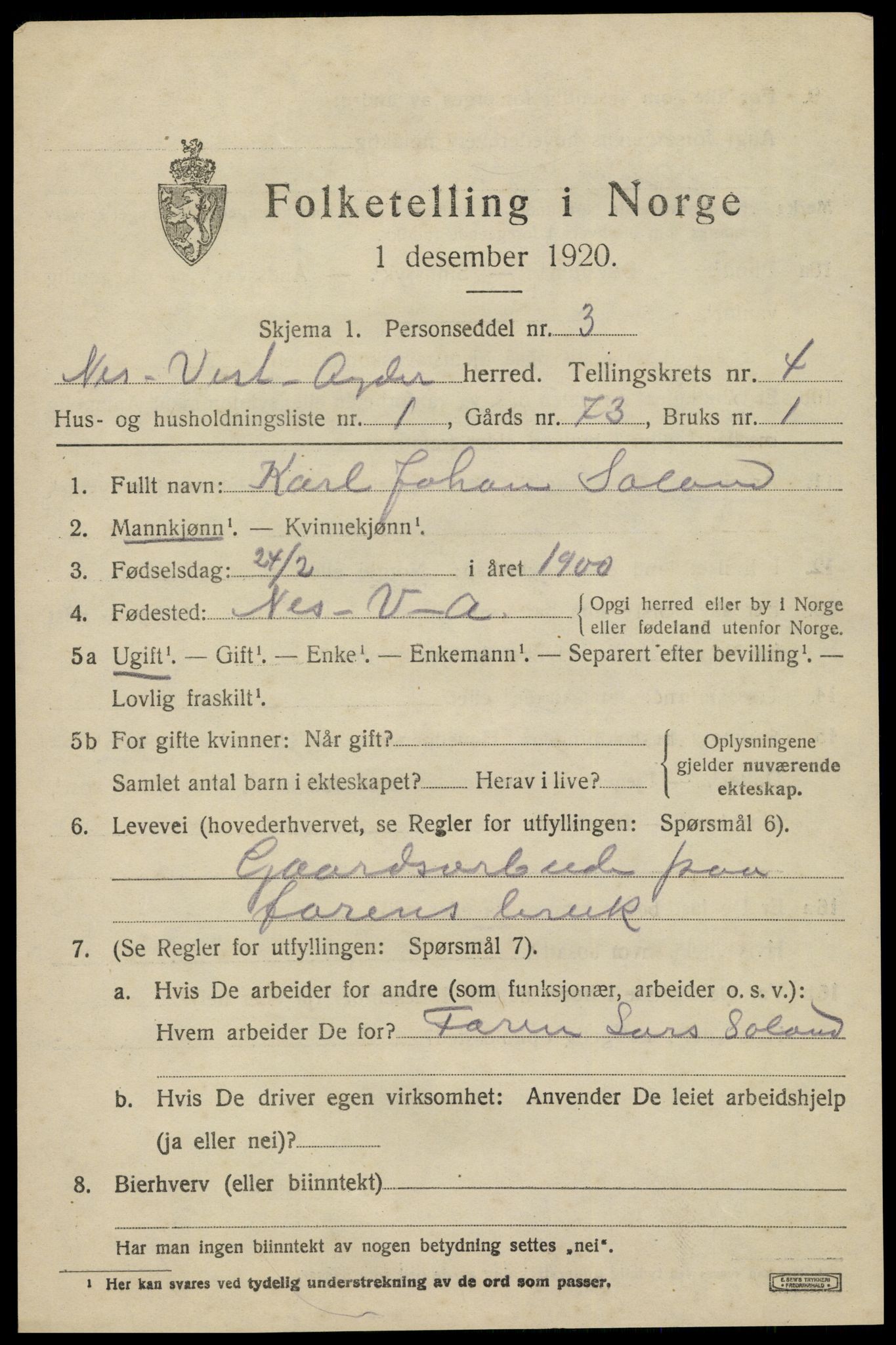 SAK, 1920 census for Nes (V-A), 1920, p. 2062