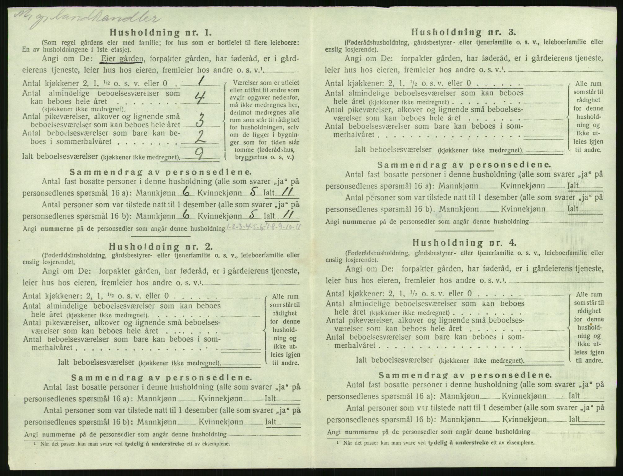 SAK, 1920 census for Øyestad, 1920, p. 1207