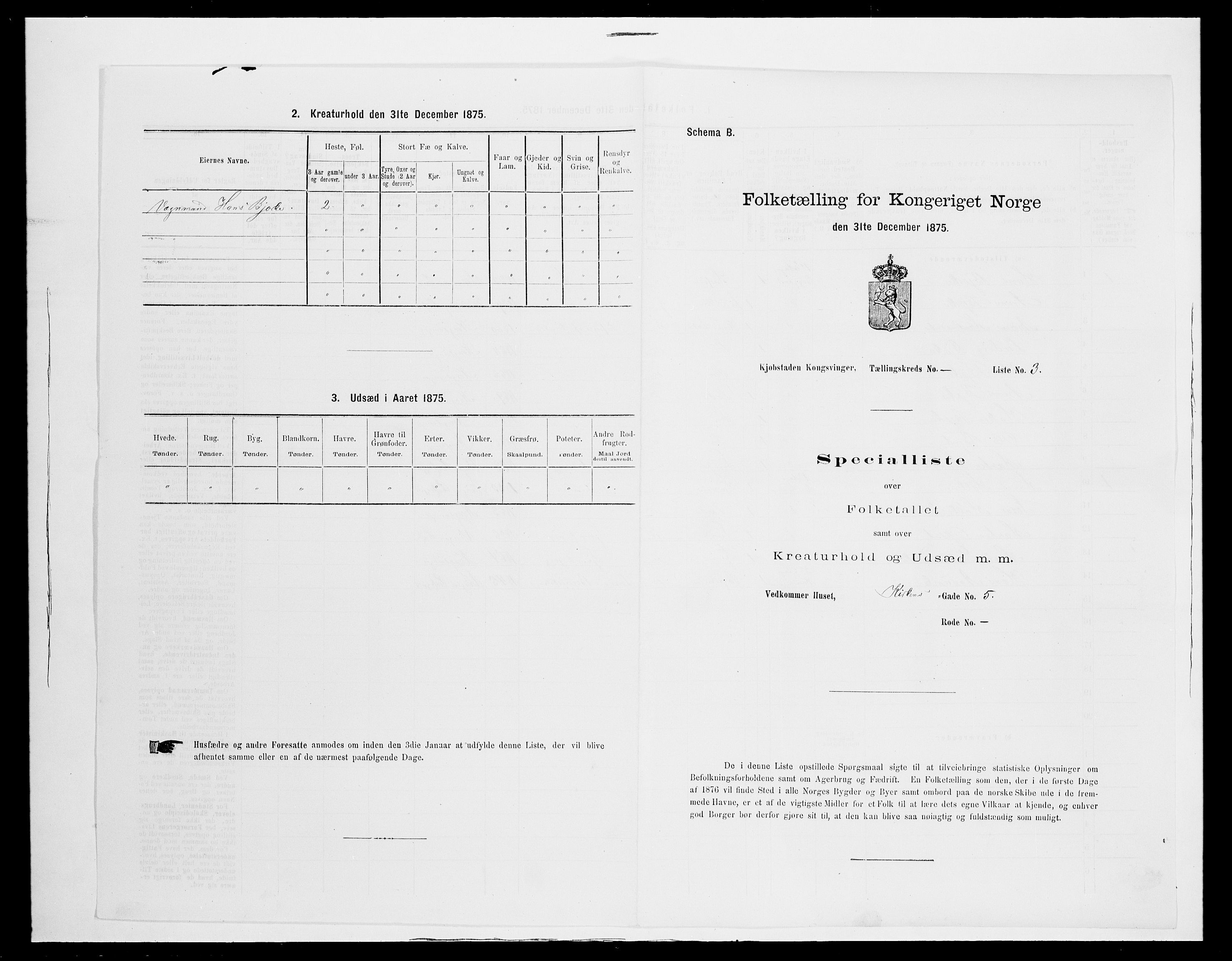 SAH, 1875 census for 0402B Vinger/Kongsvinger, 1875, p. 14