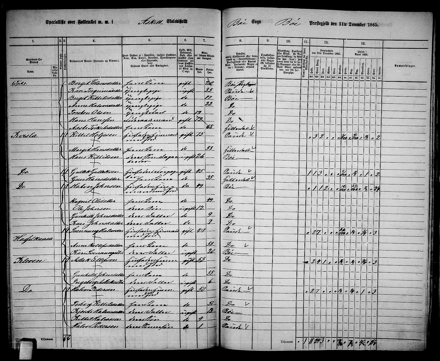 RA, 1865 census for Bø, 1865, p. 186