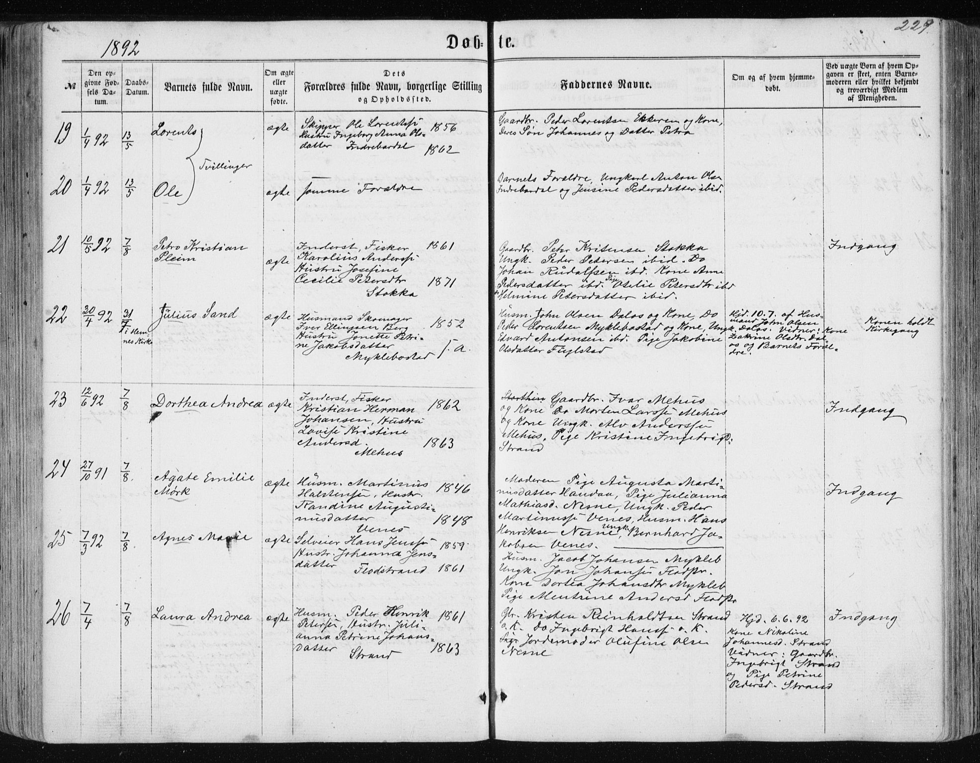 Ministerialprotokoller, klokkerbøker og fødselsregistre - Nordland, AV/SAT-A-1459/838/L0556: Parish register (copy) no. 838C03, 1861-1893, p. 229