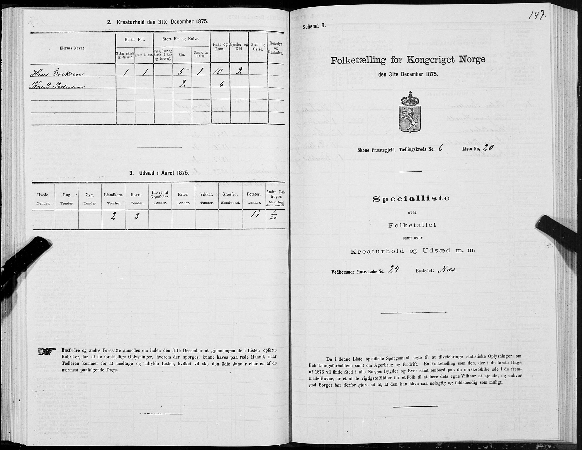 SAT, 1875 census for 1529P Skodje, 1875, p. 2147