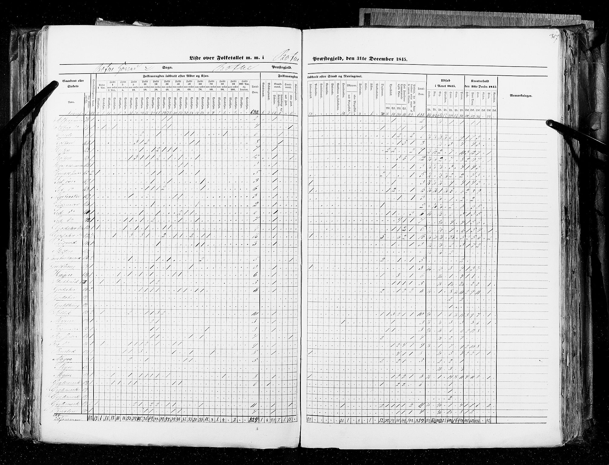 RA, Census 1845, vol. 4: Buskerud amt og Jarlsberg og Larvik amt, 1845, p. 317