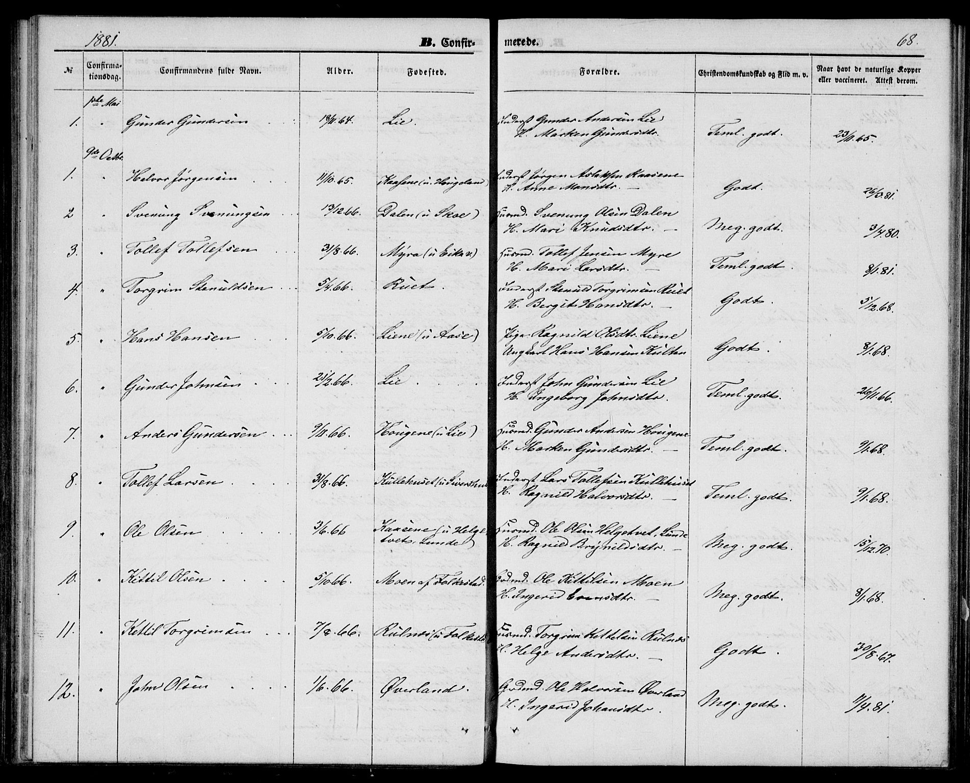 Bø kirkebøker, SAKO/A-257/G/Ga/L0004: Parish register (copy) no. 4, 1876-1882, p. 68