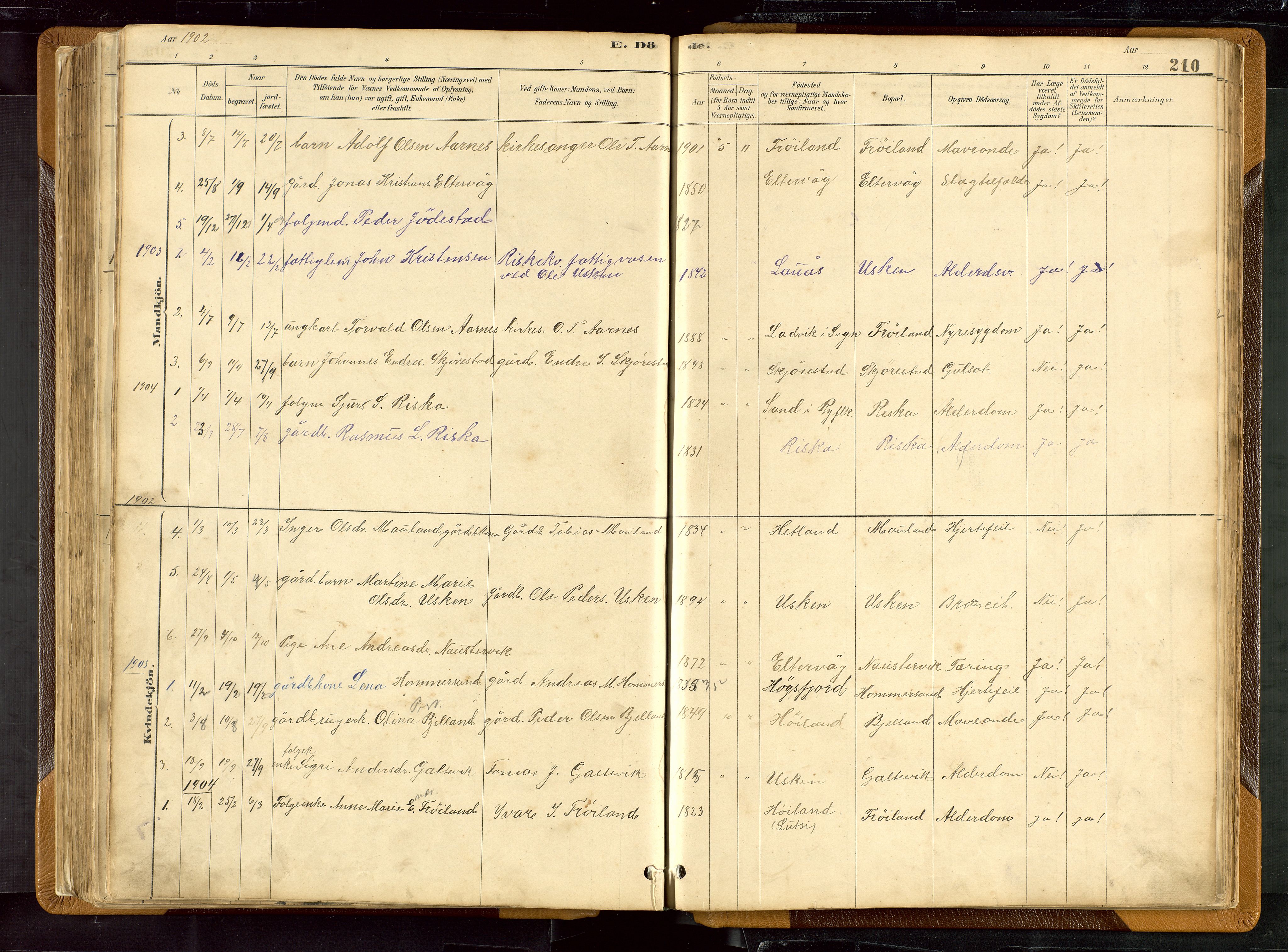 Hetland sokneprestkontor, SAST/A-101826/30/30BB/L0007: Parish register (copy) no. B 7, 1878-1910, p. 210