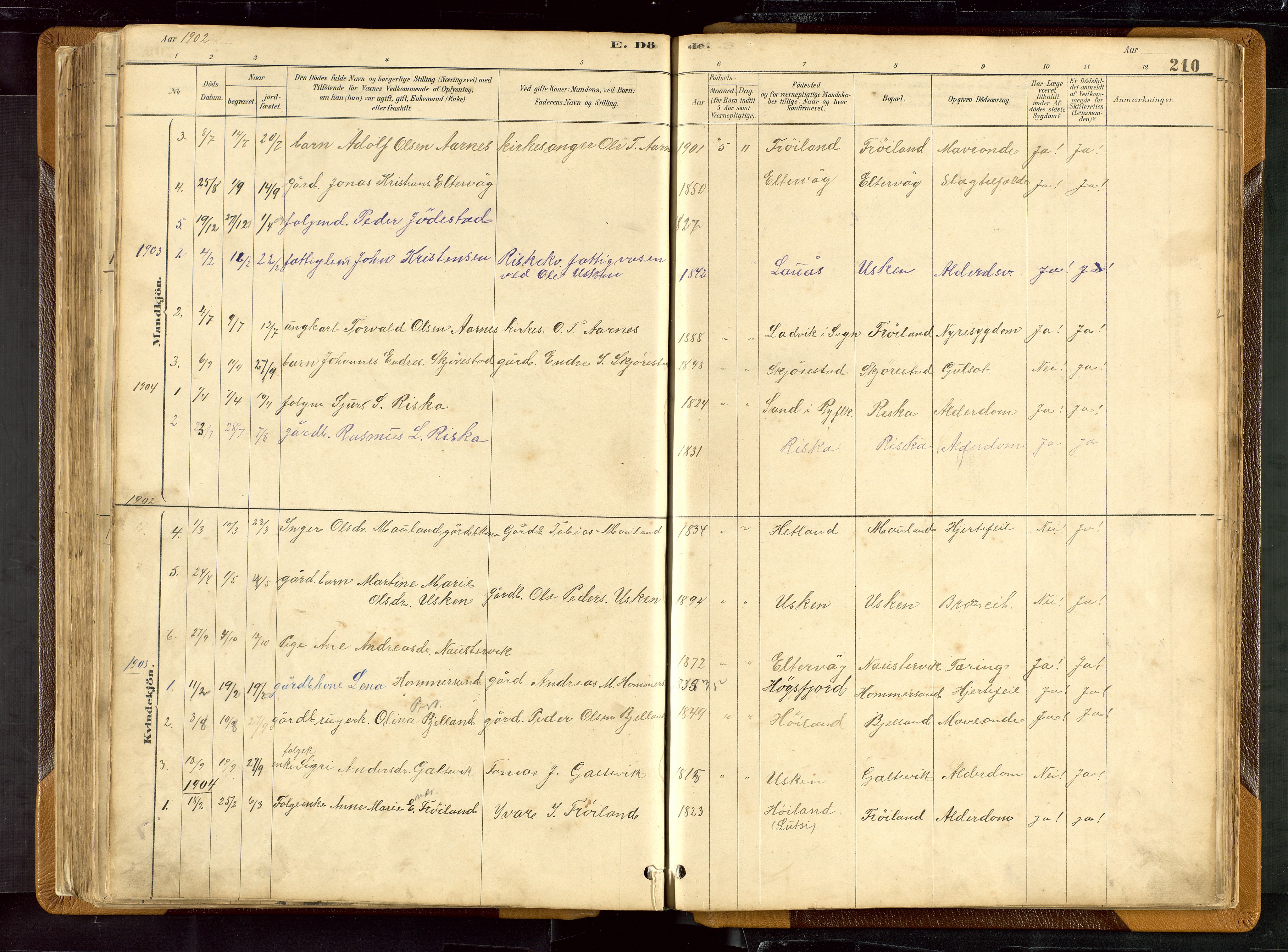 Hetland sokneprestkontor, AV/SAST-A-101826/30/30BB/L0007: Parish register (copy) no. B 7, 1878-1910, p. 210