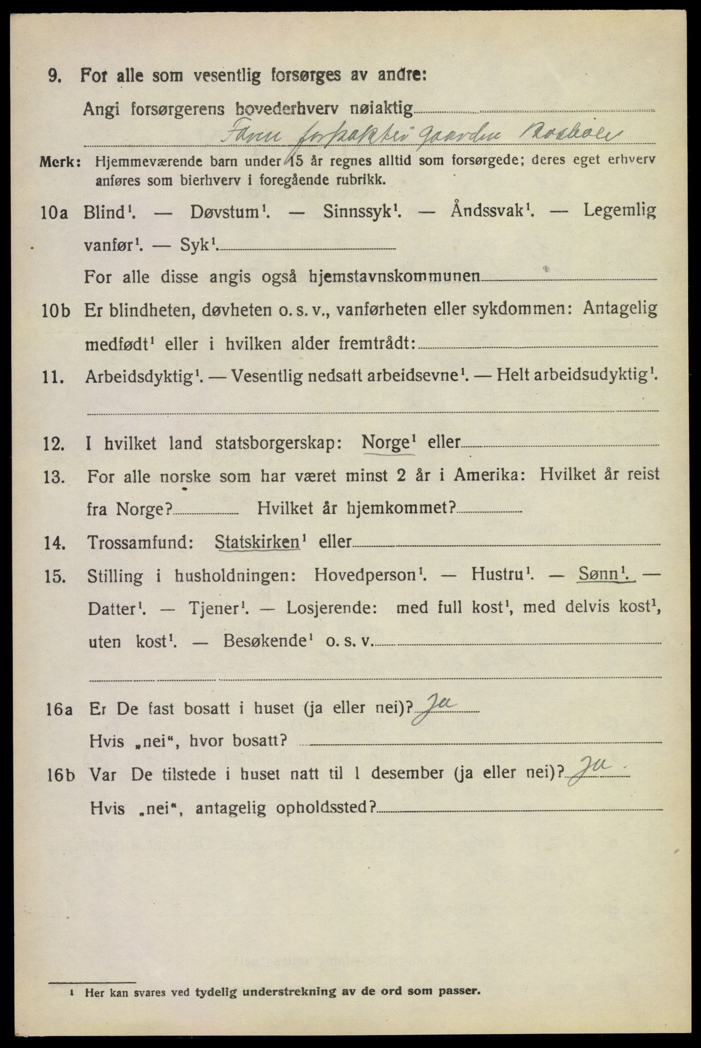 SAKO, 1920 census for Rauland, 1920, p. 2443