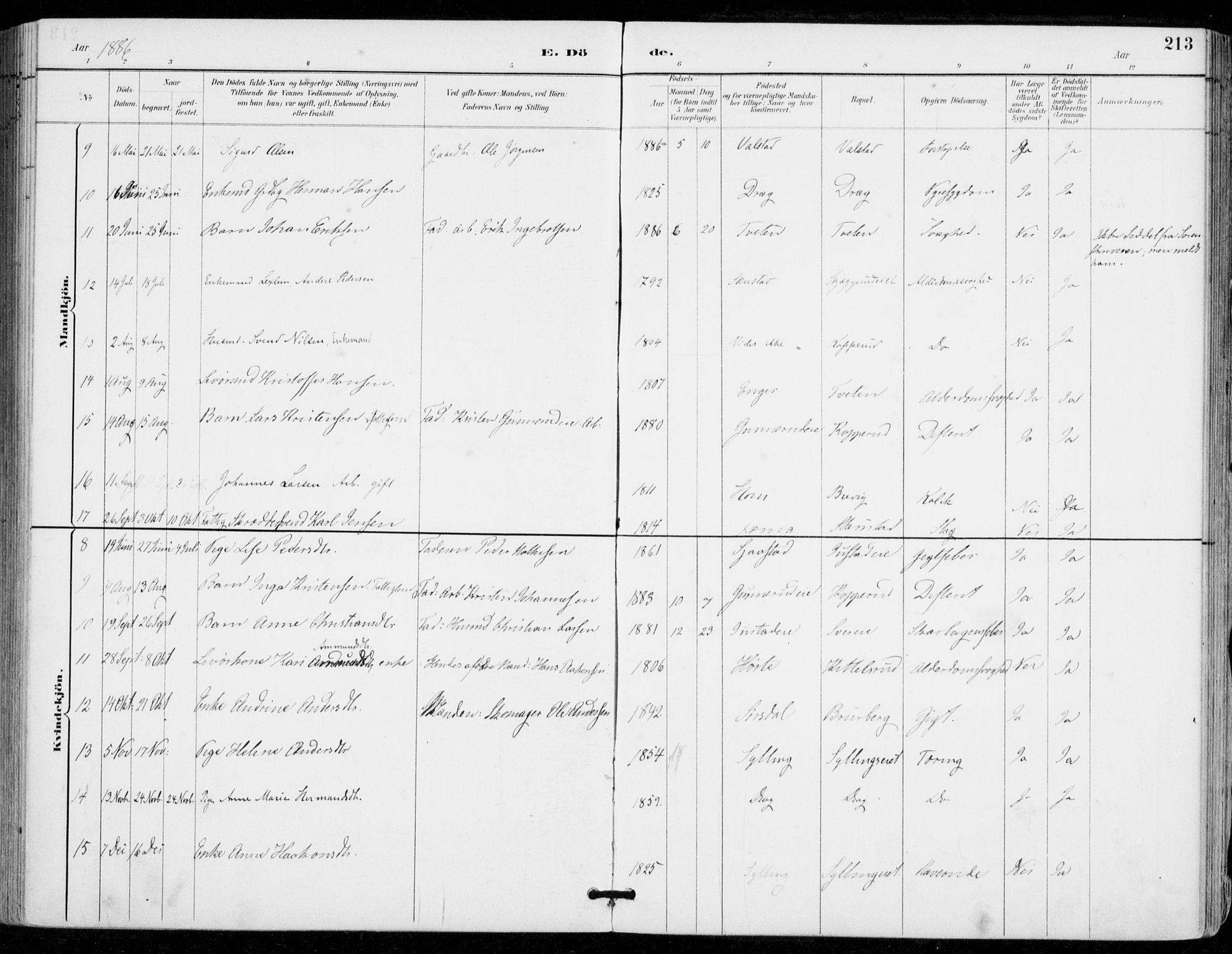 Sylling kirkebøker, AV/SAKO-A-247/F/Fa/L0001: Parish register (official) no. 1, 1883-1910, p. 213