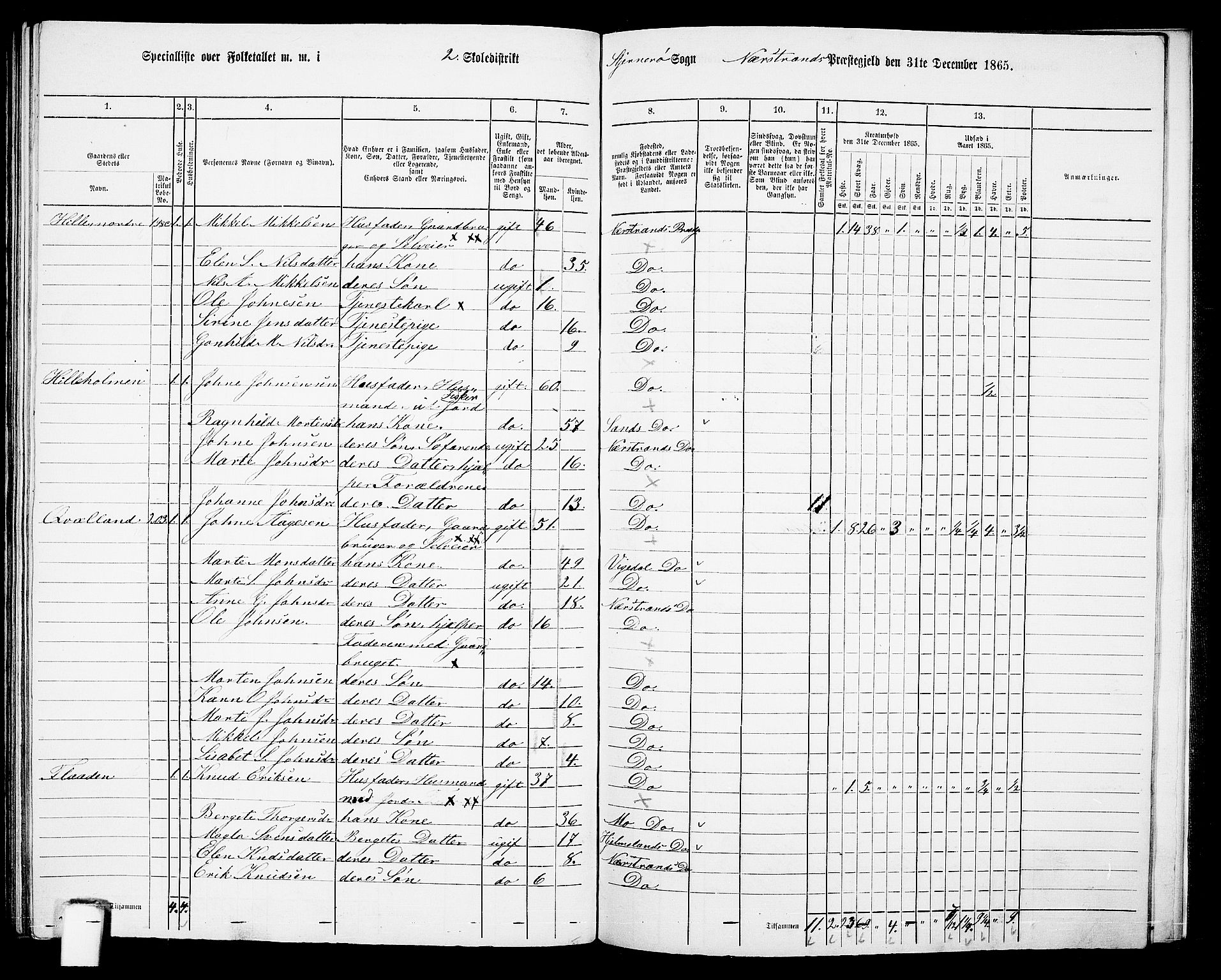 RA, 1865 census for Nedstrand, 1865, p. 97