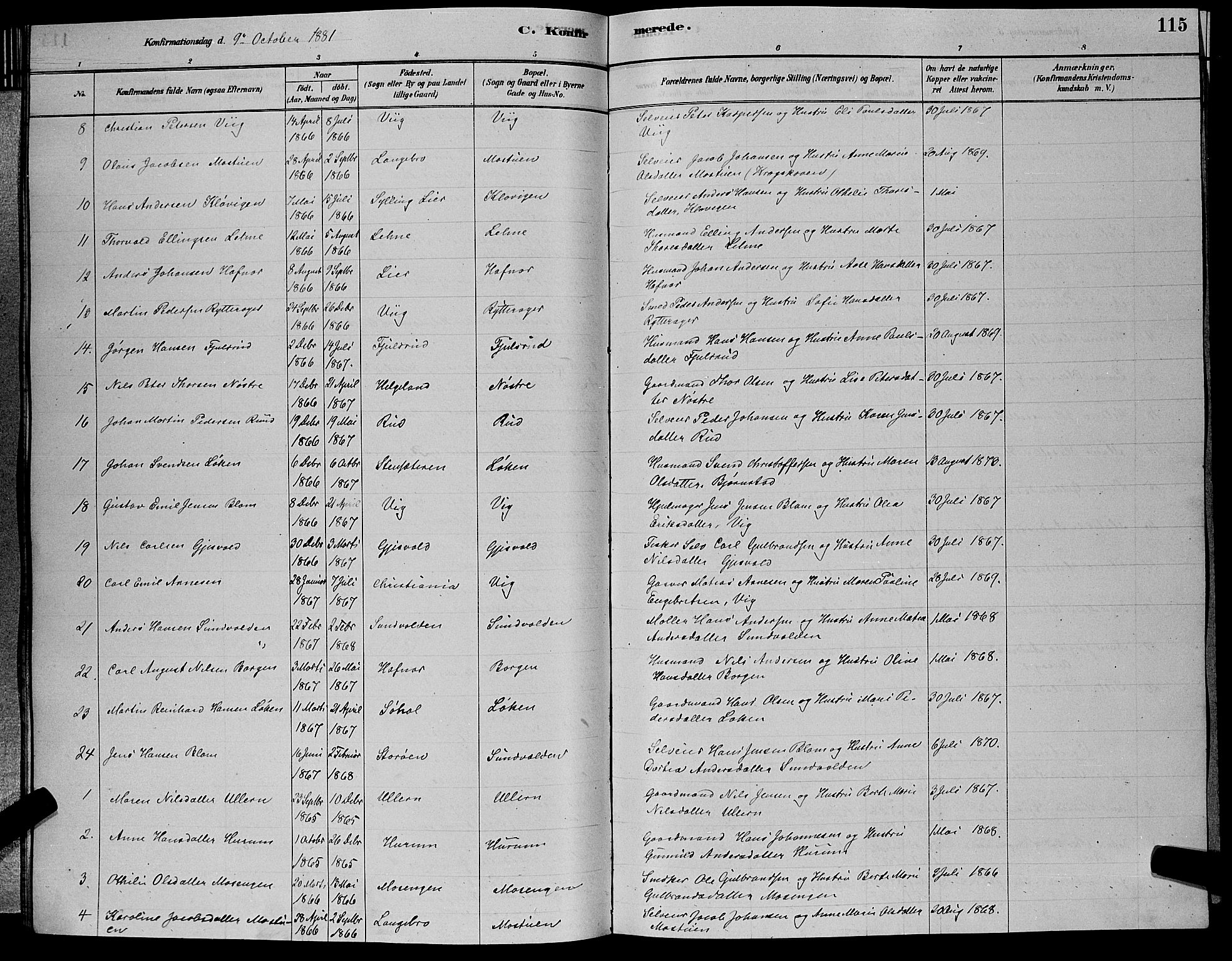 Hole kirkebøker, AV/SAKO-A-228/G/Ga/L0003: Parish register (copy) no. I 3, 1879-1904, p. 115