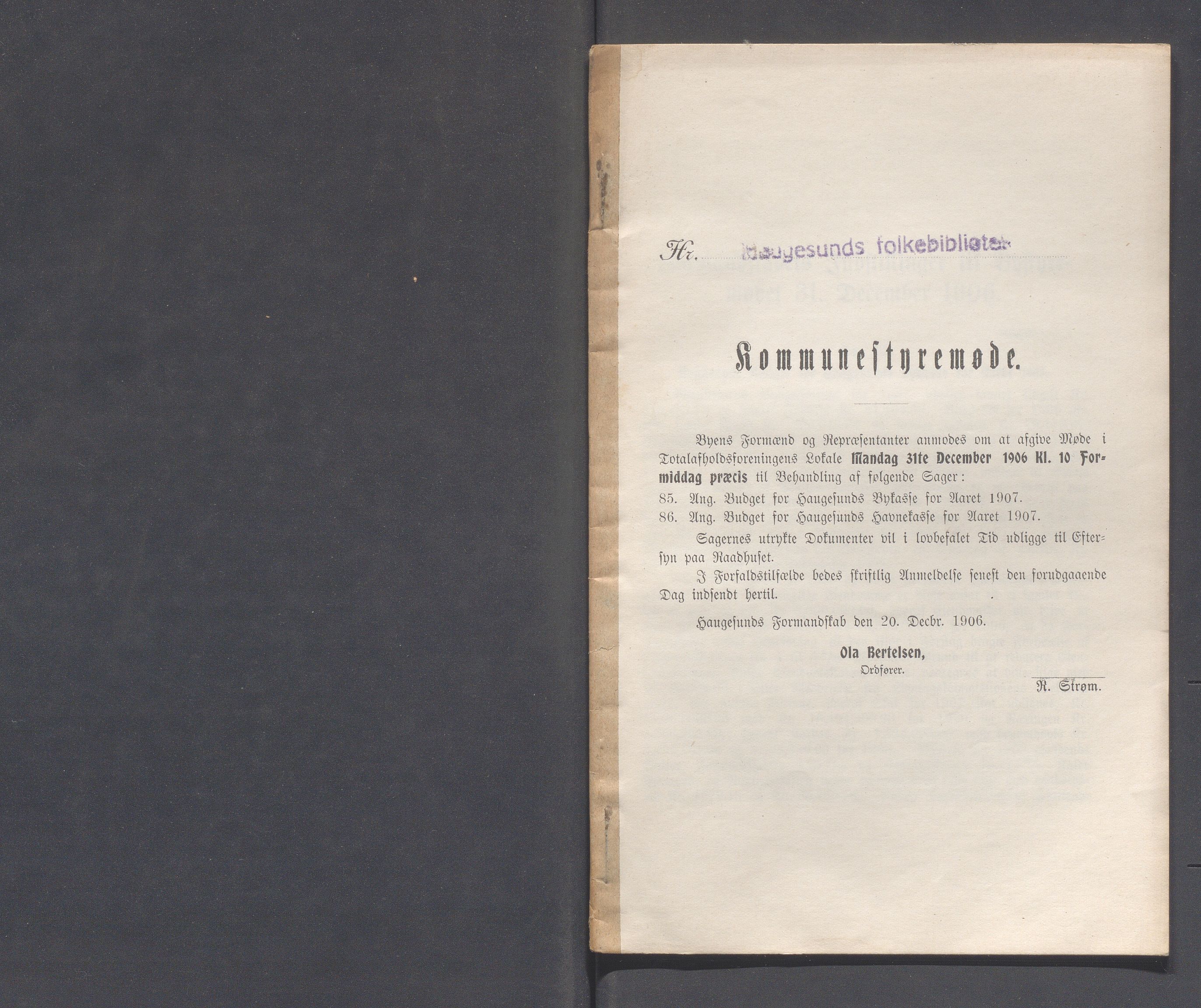 Haugesund kommune - Formannskapet og Bystyret, IKAR/A-740/A/Abb/L0001: Bystyreforhandlinger, 1889-1907, p. 899