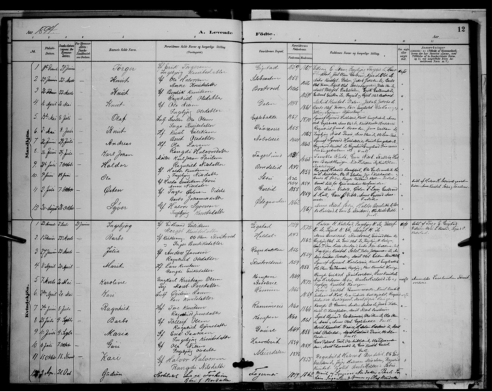Nord-Aurdal prestekontor, SAH/PREST-132/H/Ha/Hab/L0009: Parish register (copy) no. 9, 1887-1897, p. 12