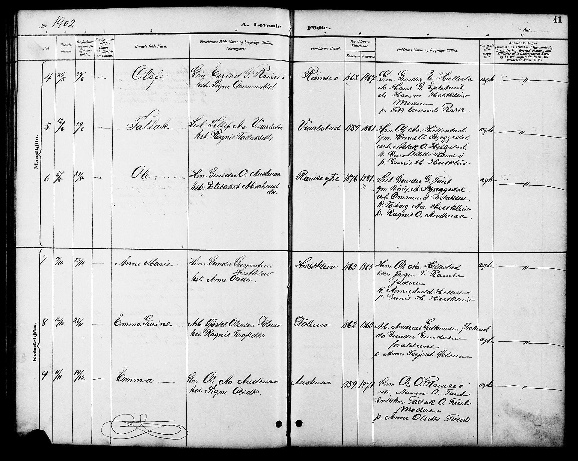 Åmli sokneprestkontor, SAK/1111-0050/F/Fb/Fbb/L0002: Parish register (copy) no. B 2, 1890-1905, p. 41