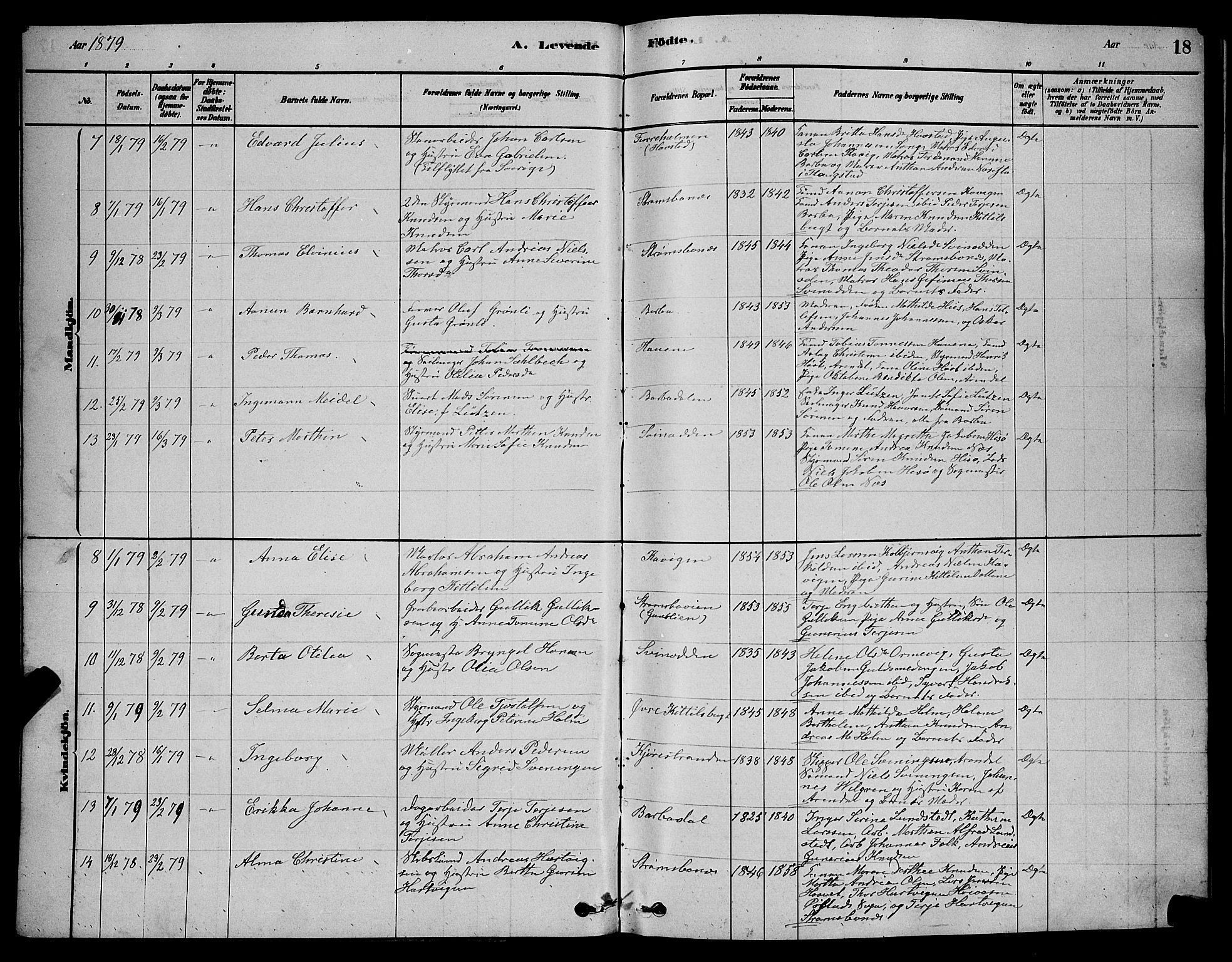 Barbu sokneprestkontor, AV/SAK-1111-0003/F/Fb/L0001: Parish register (copy) no. B 1, 1878-1890, p. 18