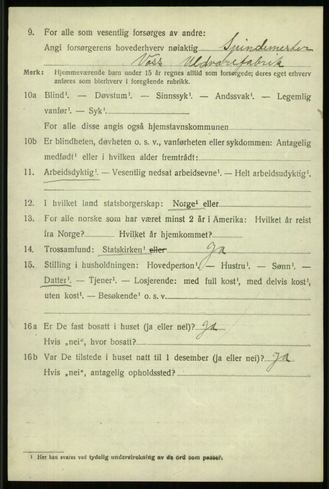 SAB, 1920 census for Voss, 1920, p. 18084