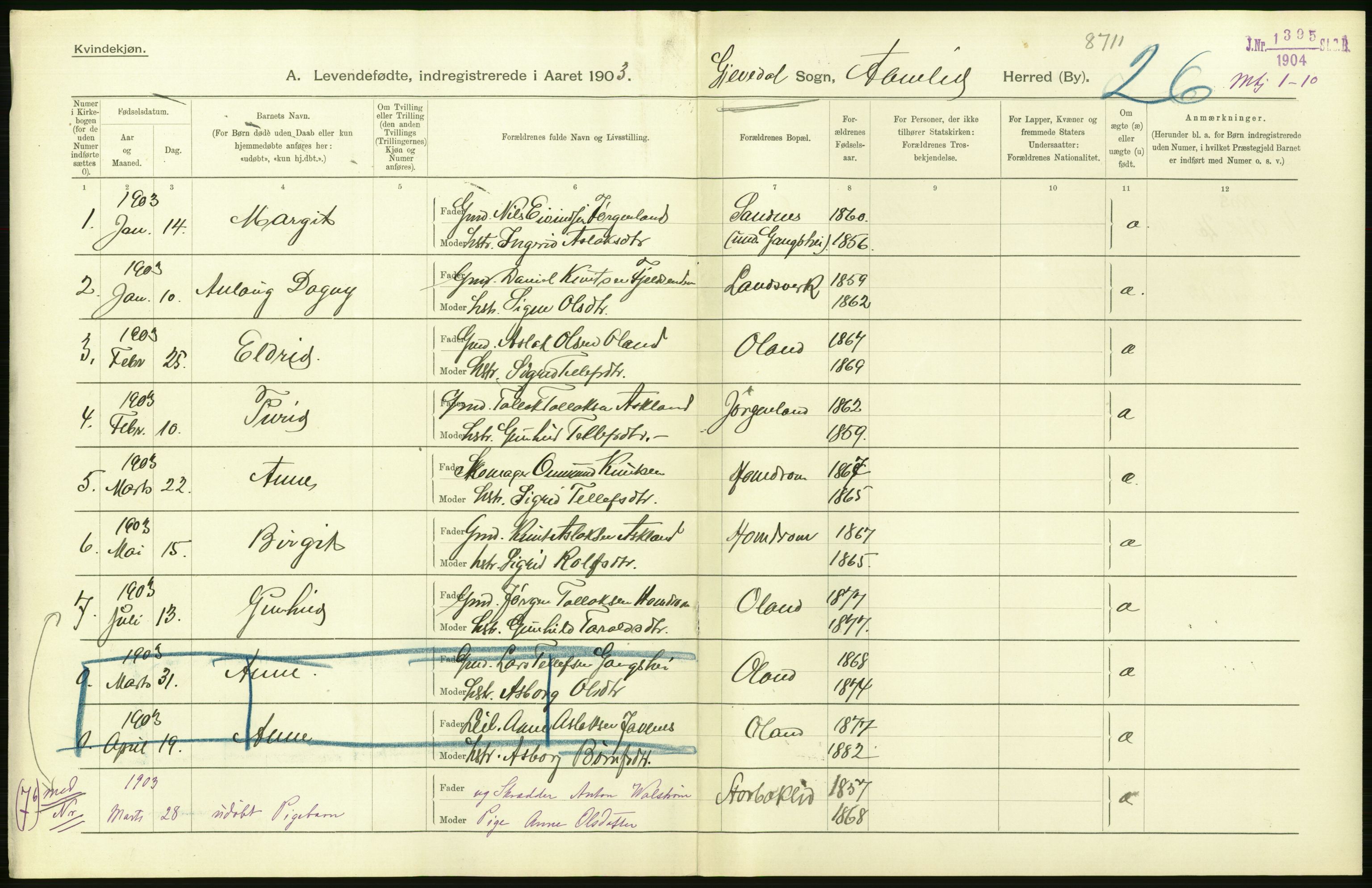 Statistisk sentralbyrå, Sosiodemografiske emner, Befolkning, AV/RA-S-2228/D/Df/Dfa/Dfaa/L0010: Nedenes amt: Fødte, gifte, døde, 1903, p. 40