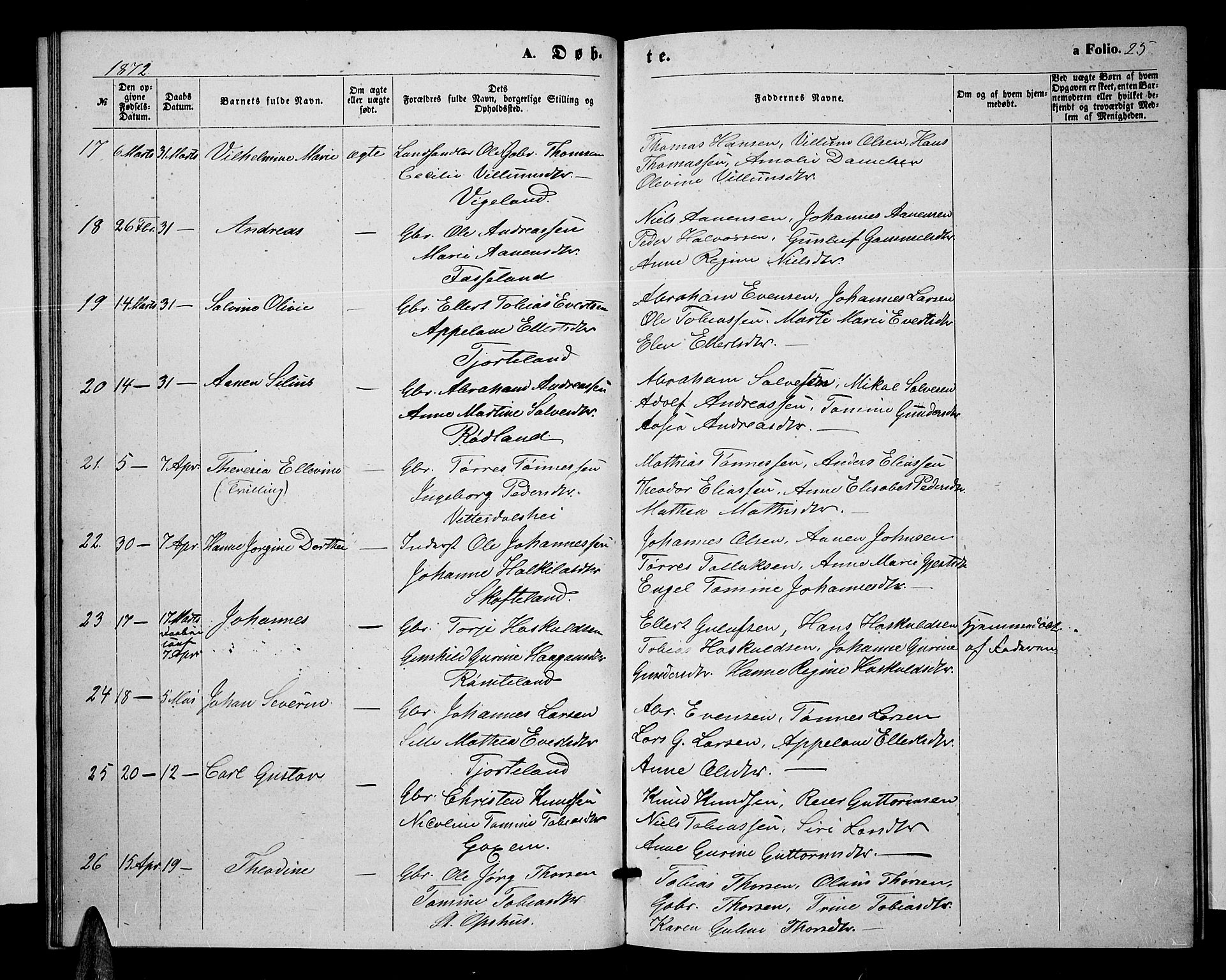 Sør-Audnedal sokneprestkontor, AV/SAK-1111-0039/F/Fb/Fbb/L0004: Parish register (copy) no. B 4, 1868-1879, p. 25