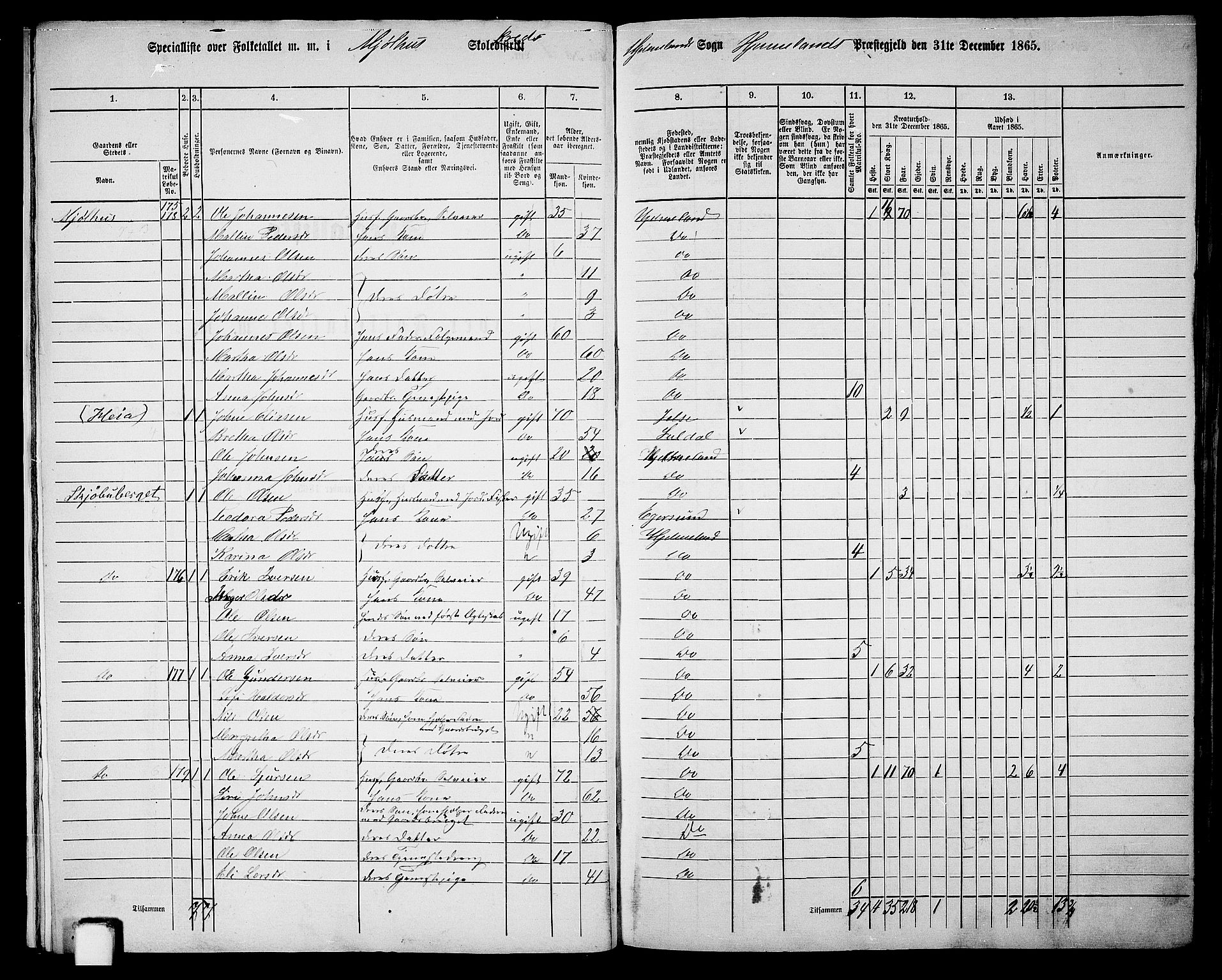 RA, 1865 census for Hjelmeland, 1865, p. 16