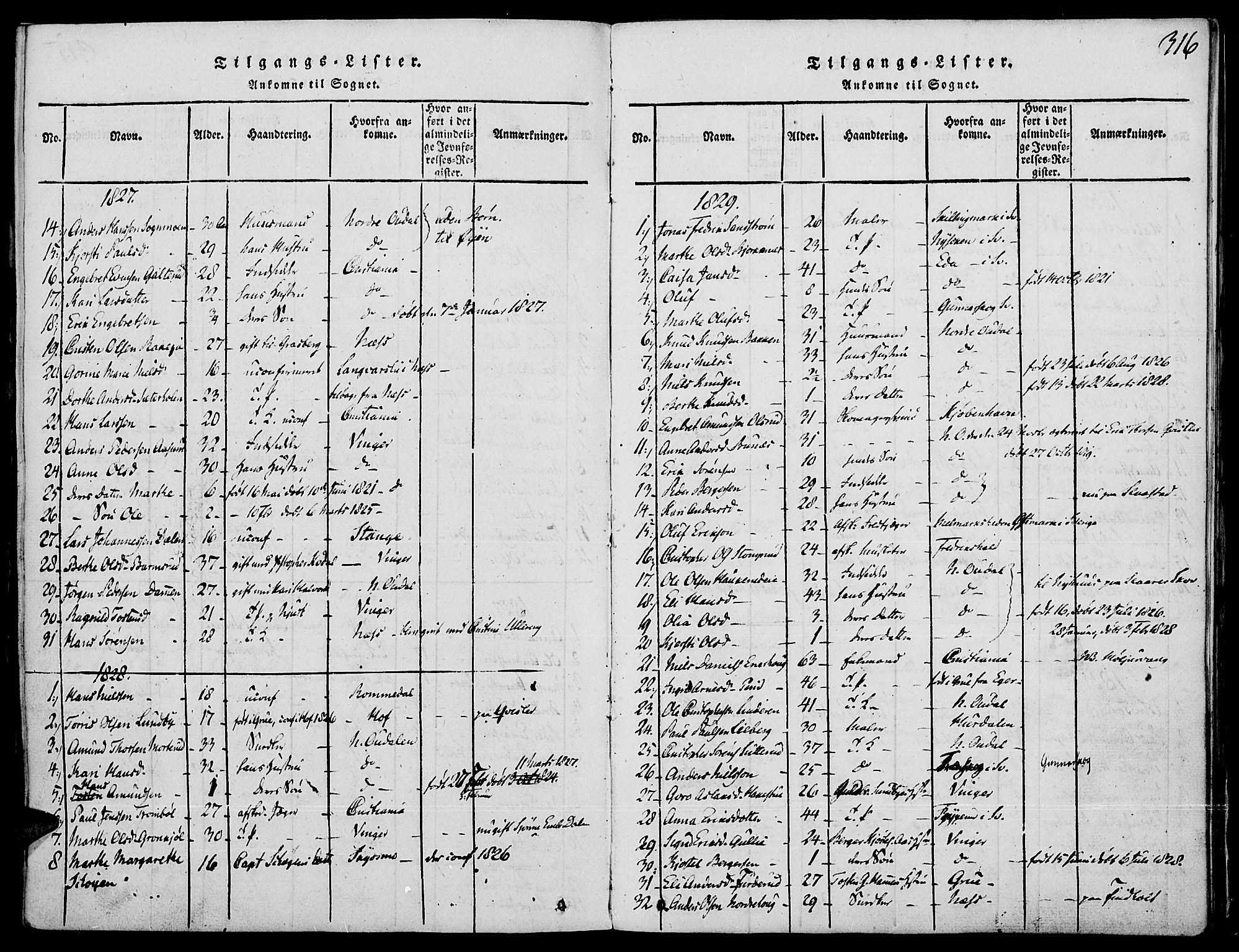 Strøm-Odalen prestekontor, AV/SAH-PREST-028/H/Ha/Haa/L0006: Parish register (official) no. 6, 1814-1850, p. 316