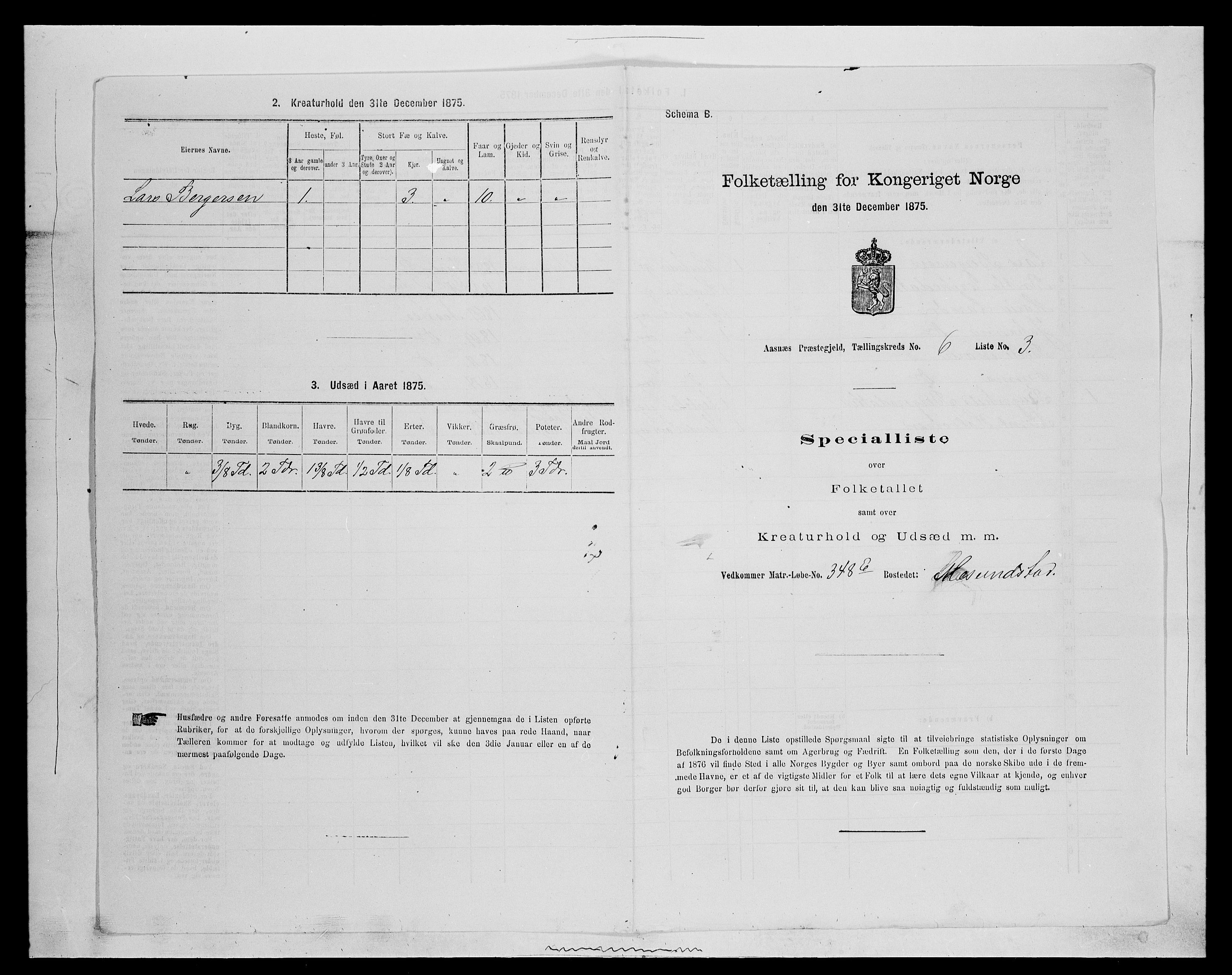SAH, 1875 census for 0425P Åsnes, 1875, p. 819