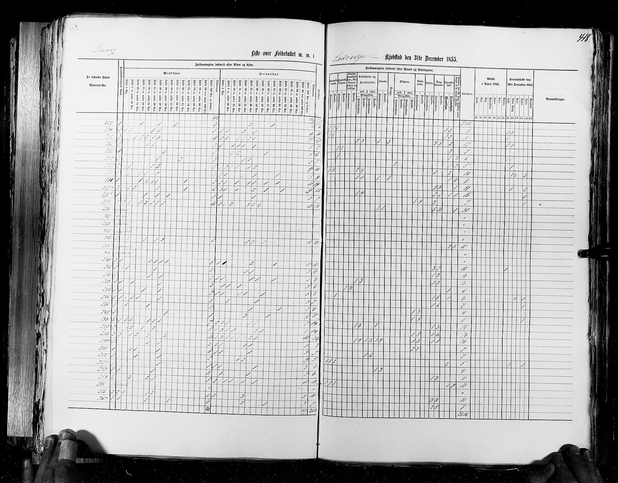 RA, Census 1855, vol. 7: Fredrikshald-Kragerø, 1855, p. 418