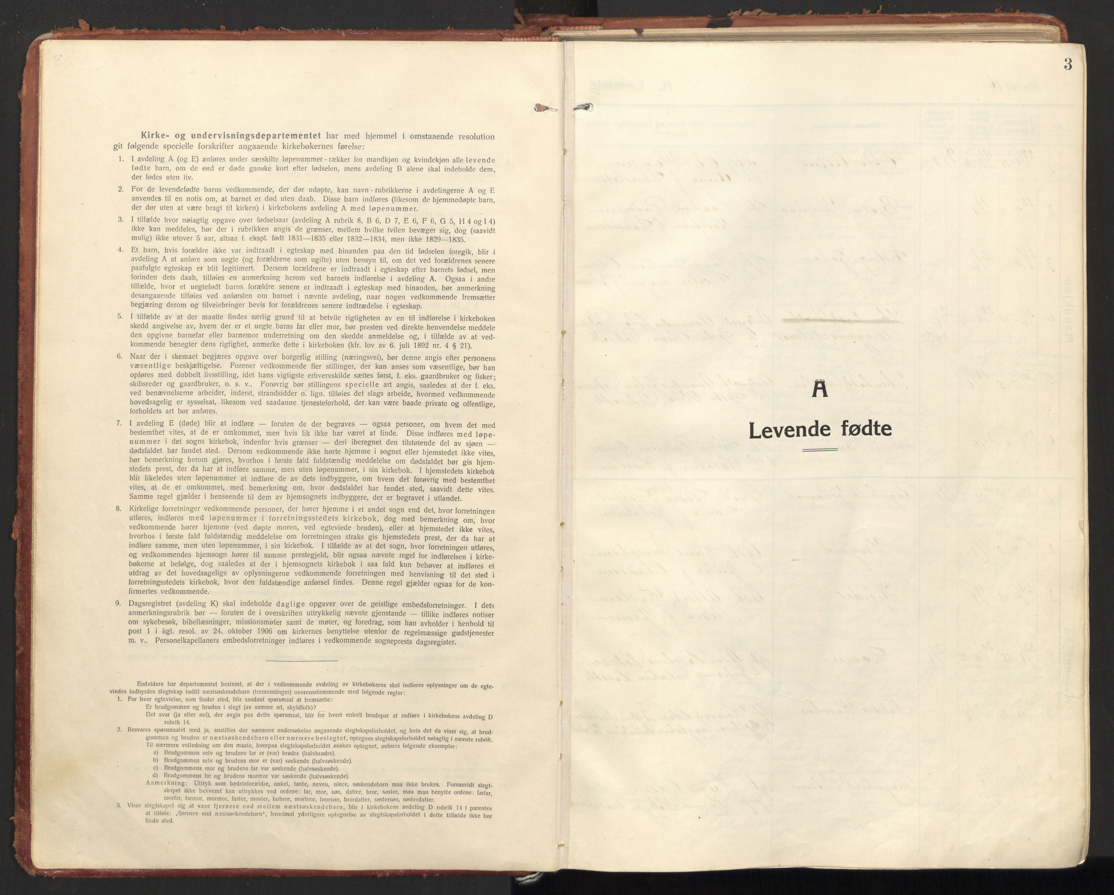 Ministerialprotokoller, klokkerbøker og fødselsregistre - Nordland, SAT/A-1459/846/L0650: Parish register (official) no. 846A08, 1916-1935, p. 3