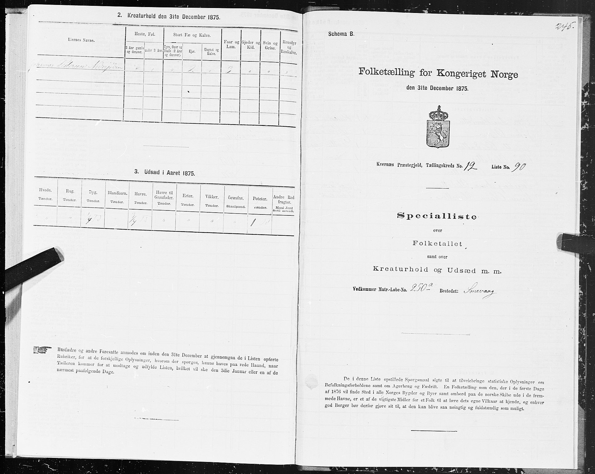 SAT, 1875 census for 1553P Kvernes, 1875, p. 6245