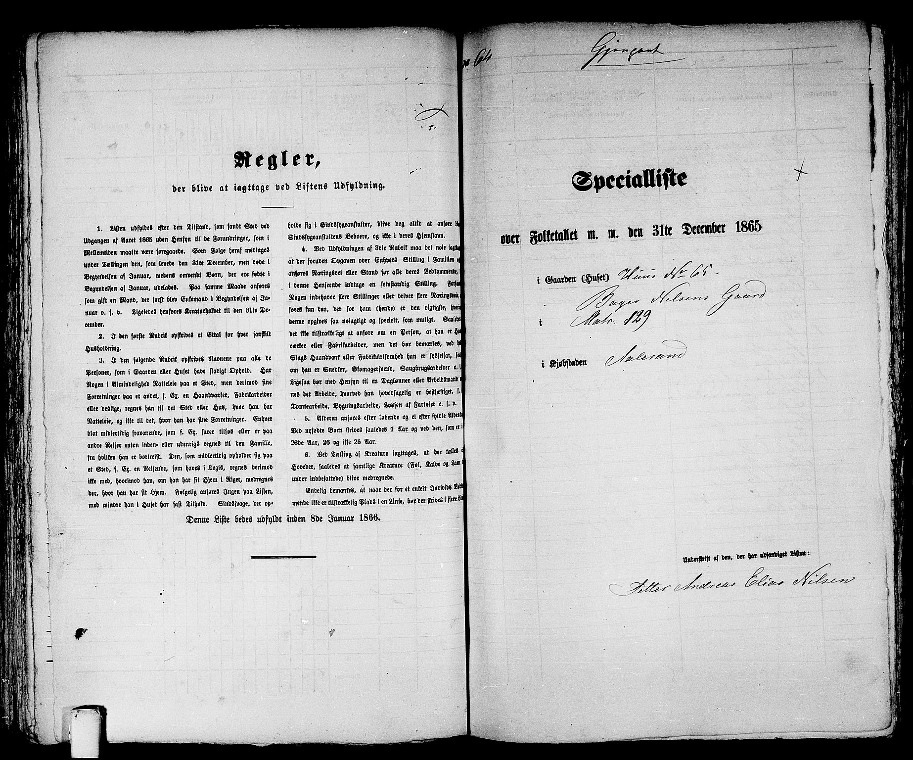 RA, 1865 census for Ålesund, 1865, p. 136