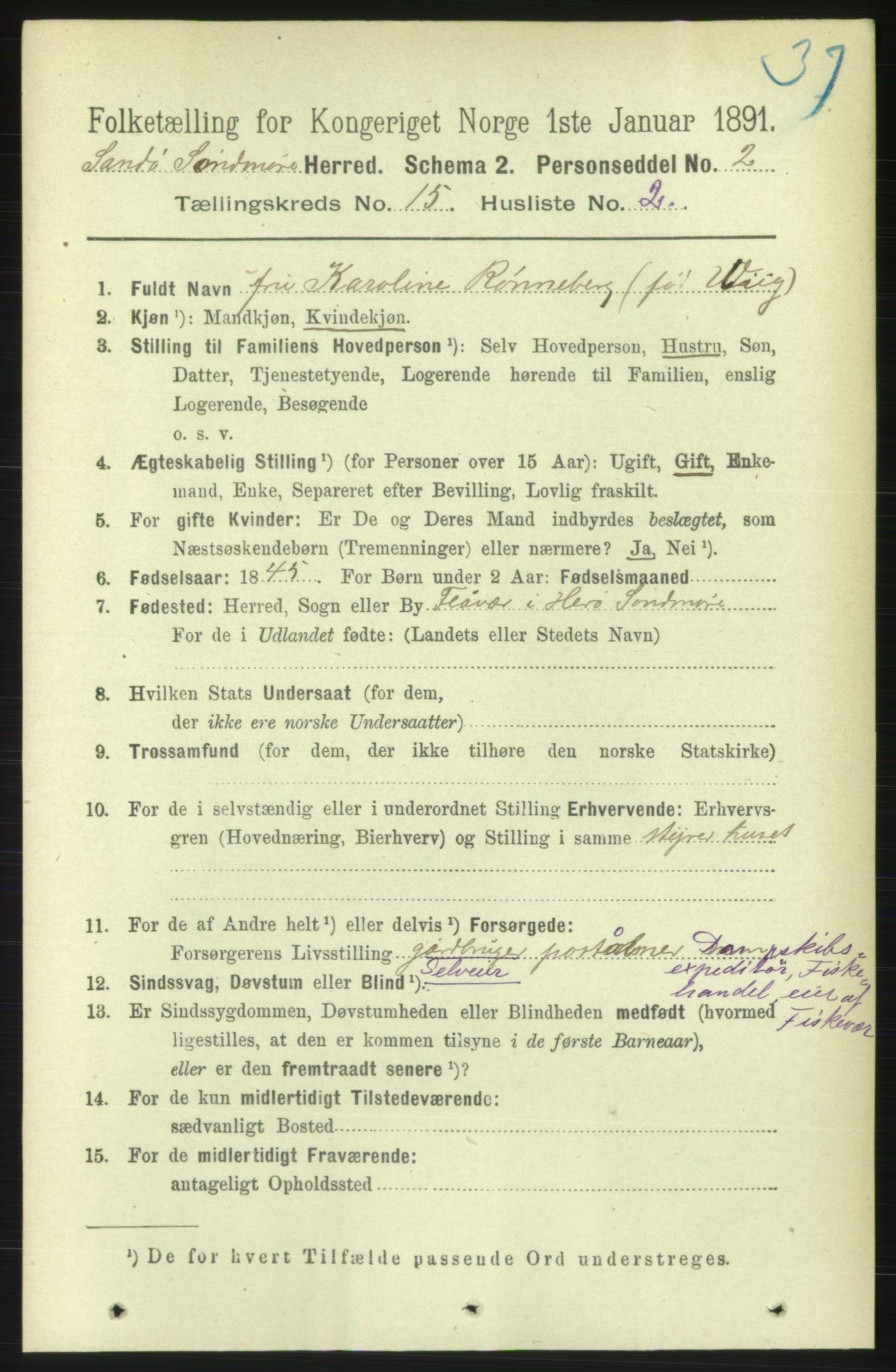 RA, 1891 census for 1514 Sande, 1891, p. 3017