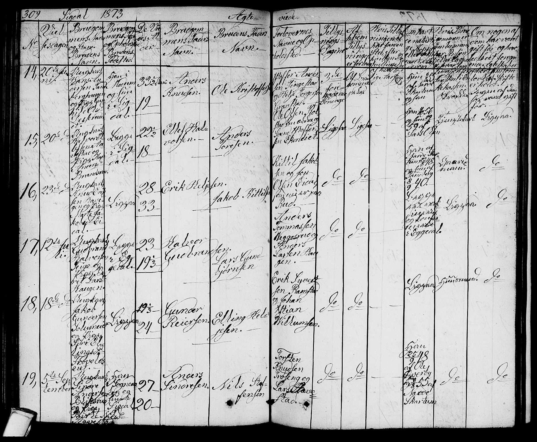 Sigdal kirkebøker, AV/SAKO-A-245/G/Ga/L0003: Parish register (copy) no. I 3, 1857-1878, p. 309