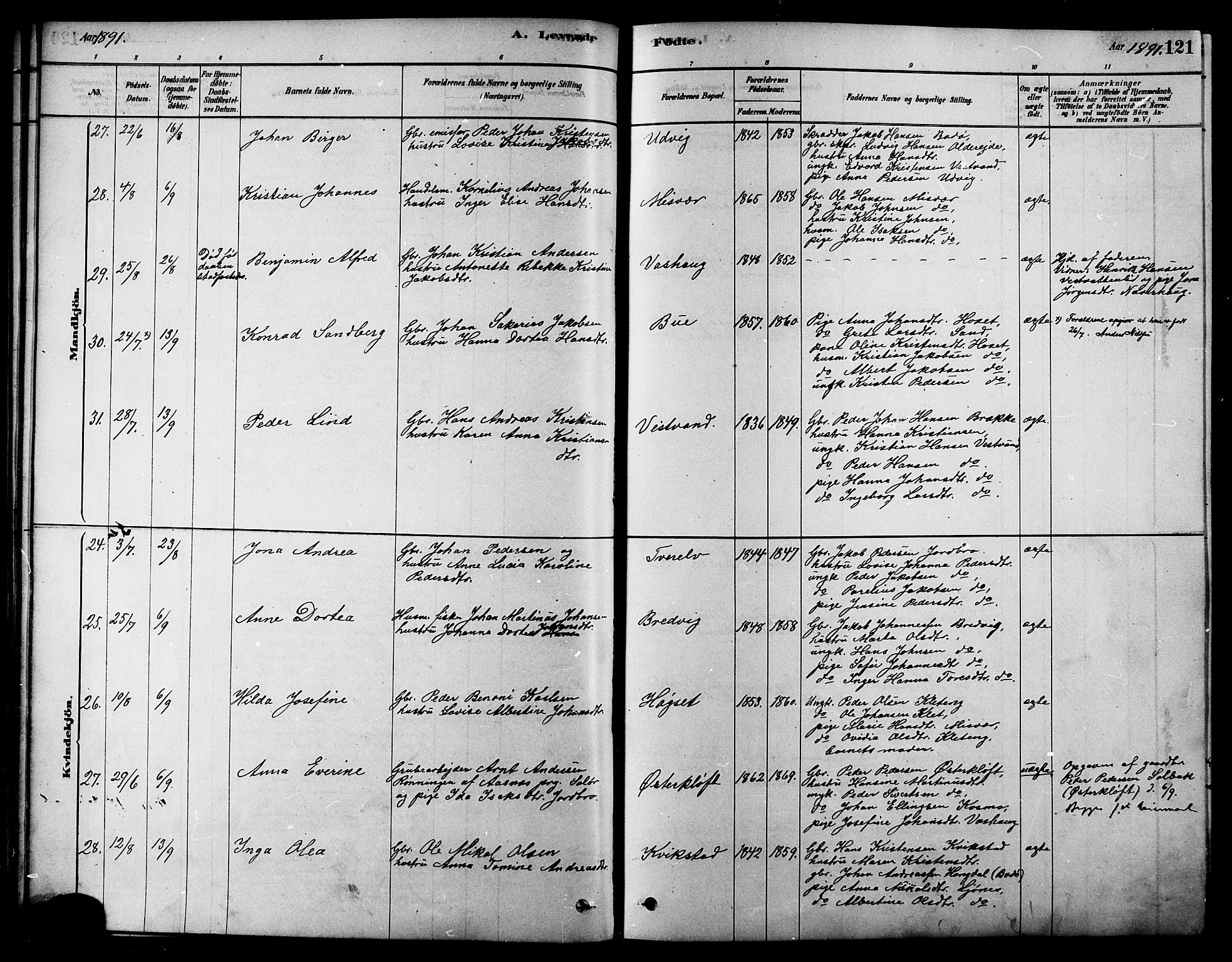 Ministerialprotokoller, klokkerbøker og fødselsregistre - Nordland, AV/SAT-A-1459/852/L0740: Parish register (official) no. 852A10, 1878-1894, p. 121